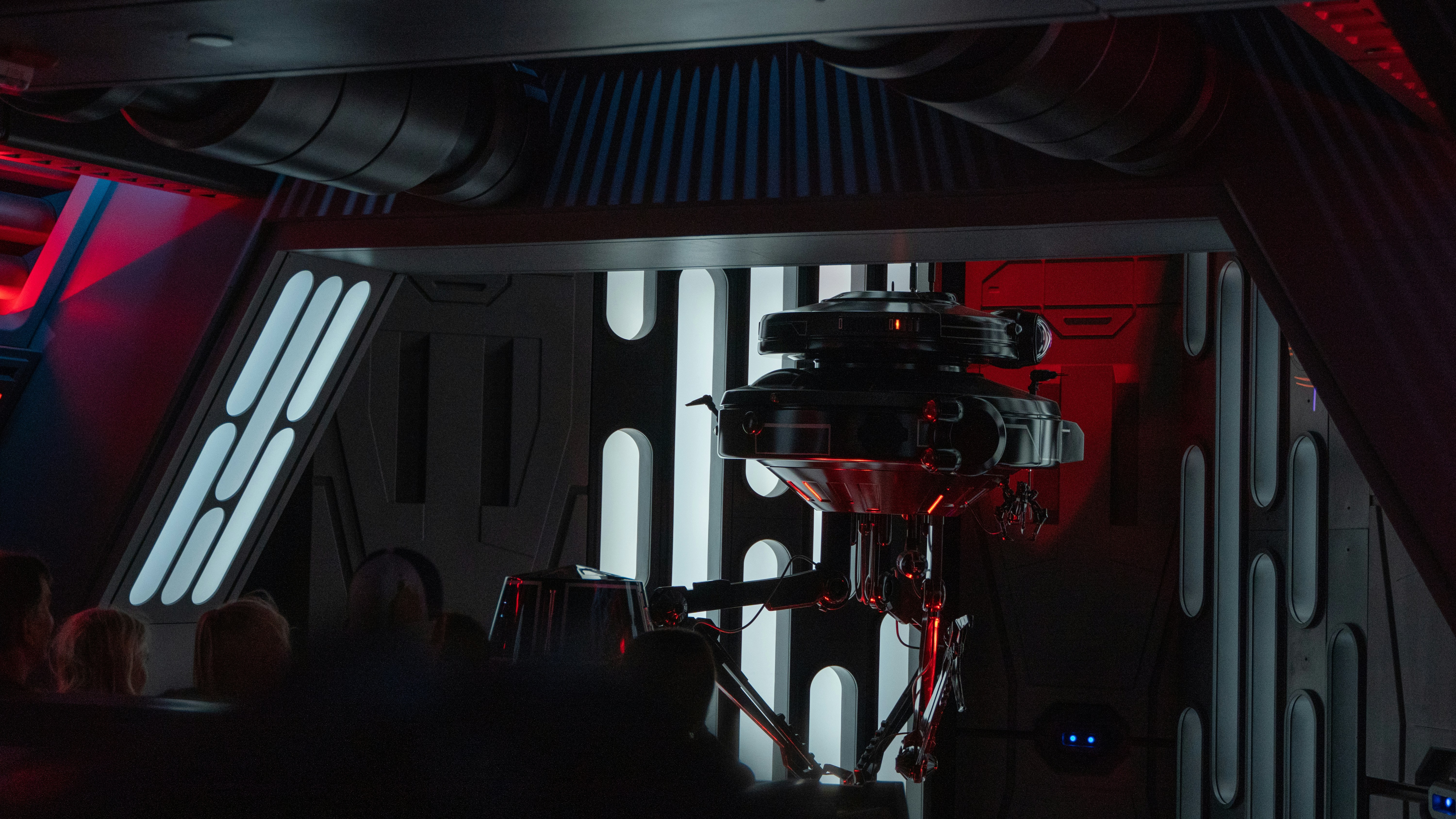 Photo by nickfuentes_