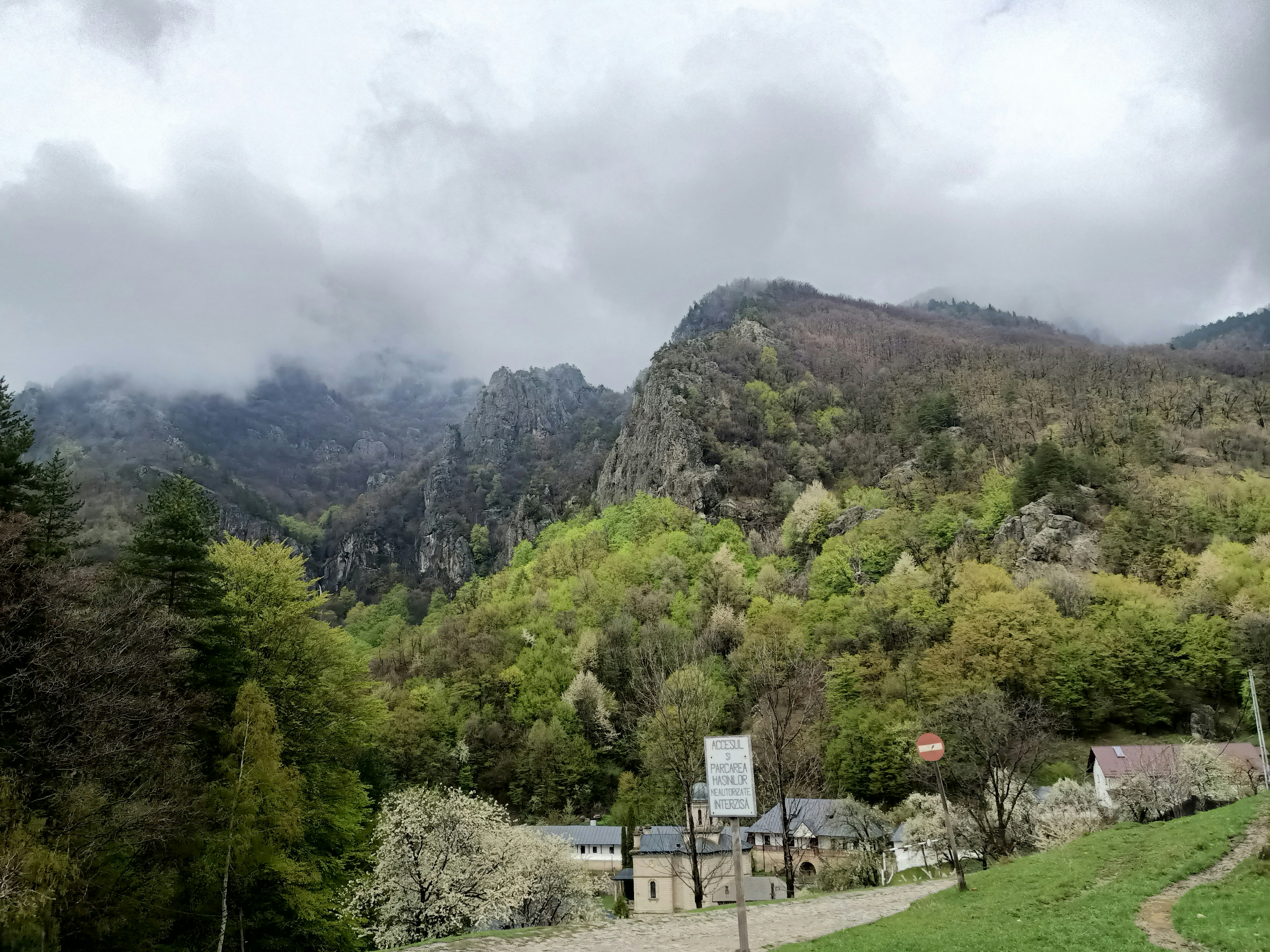 una vista panoramica di una catena montuosa con case e alberi