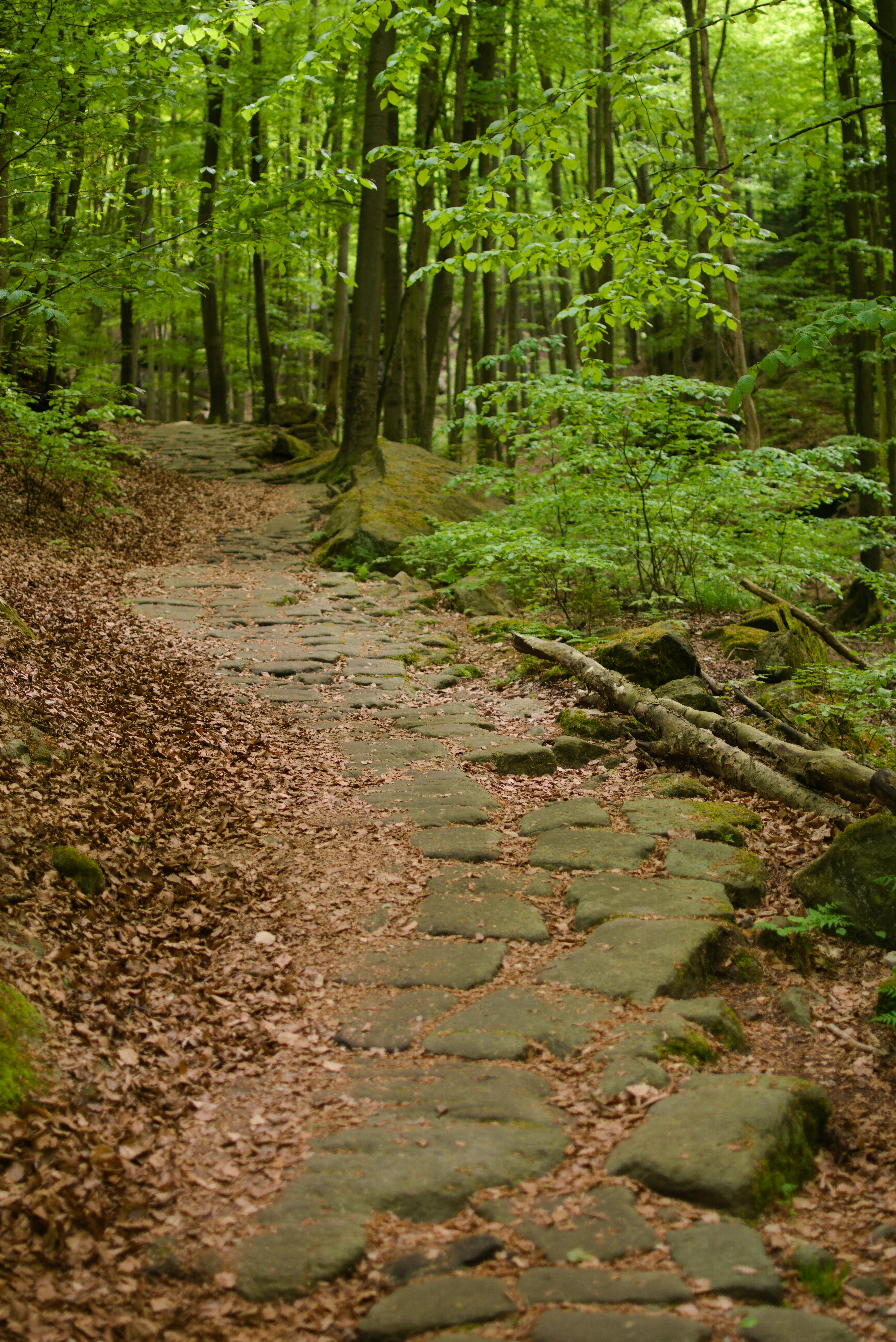 Photo by lh4tography