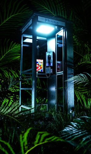 a phone booth in the middle of a jungle