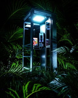 a phone booth in the middle of a jungle