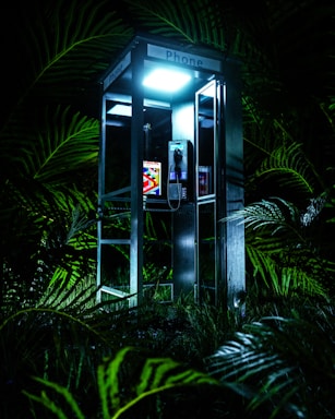 a phone booth in the middle of a jungle