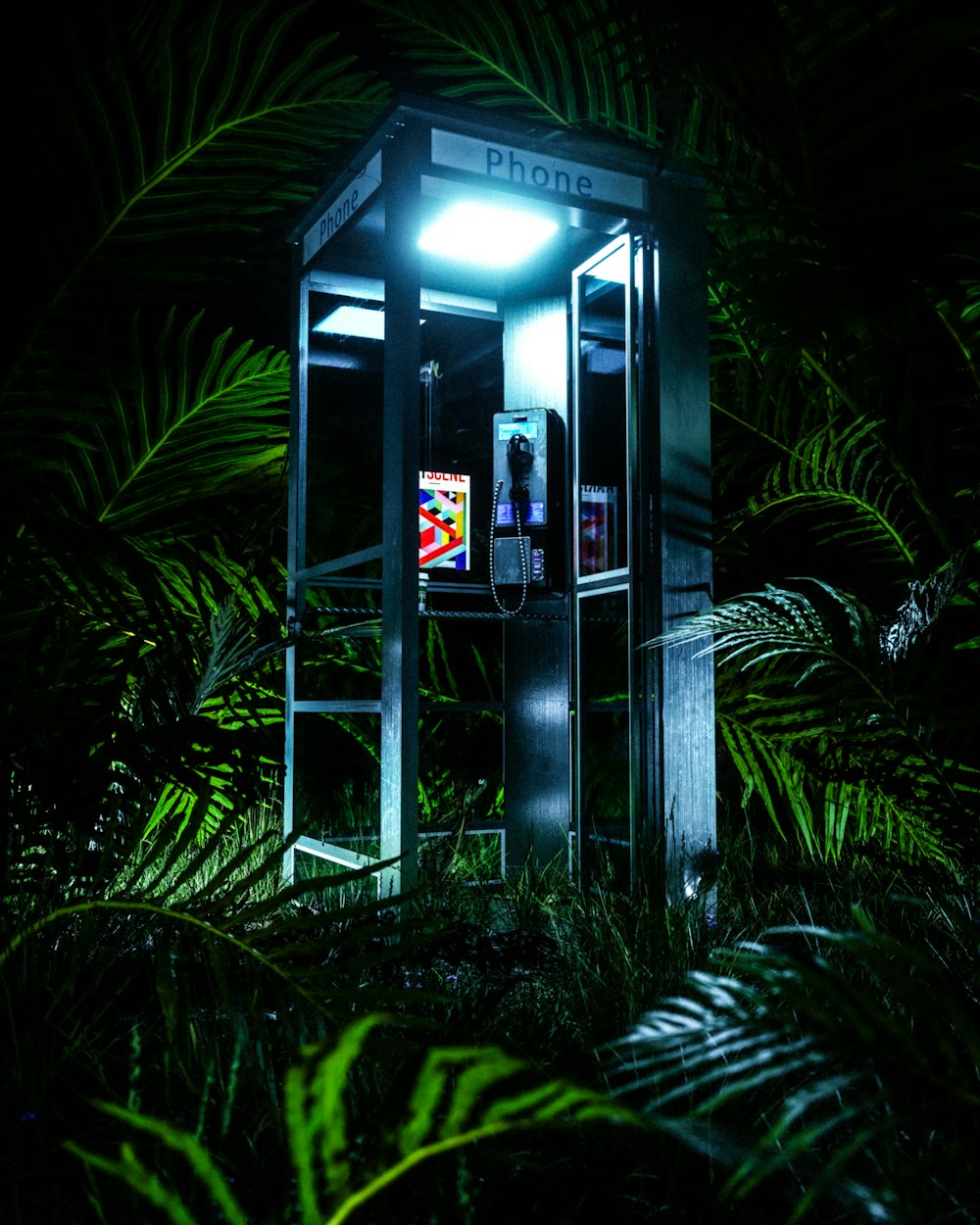 uma cabine telefônica no meio de uma selva