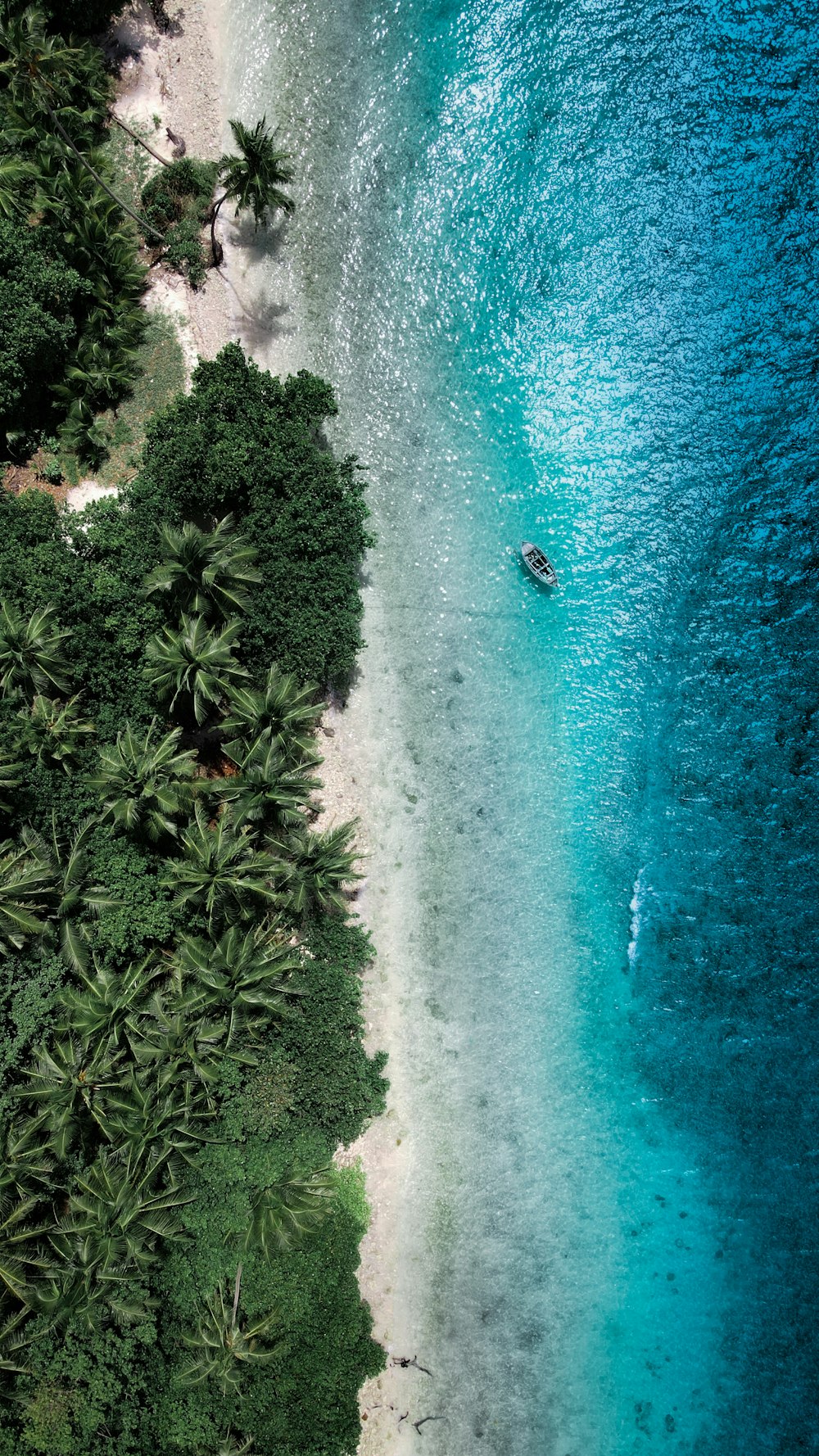 an aerial view of a beach with a boat in the water