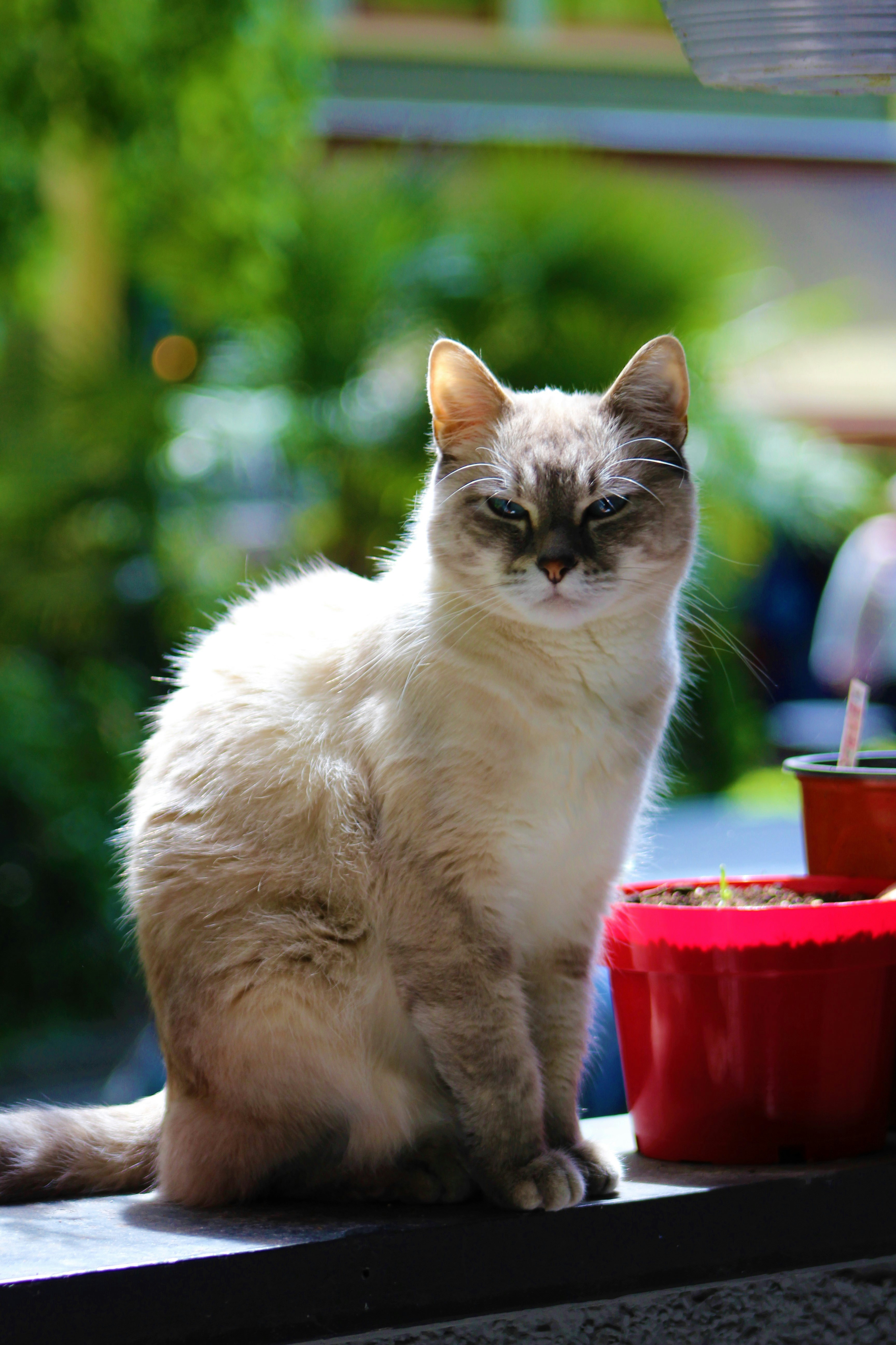 Photo by photoswithgabe