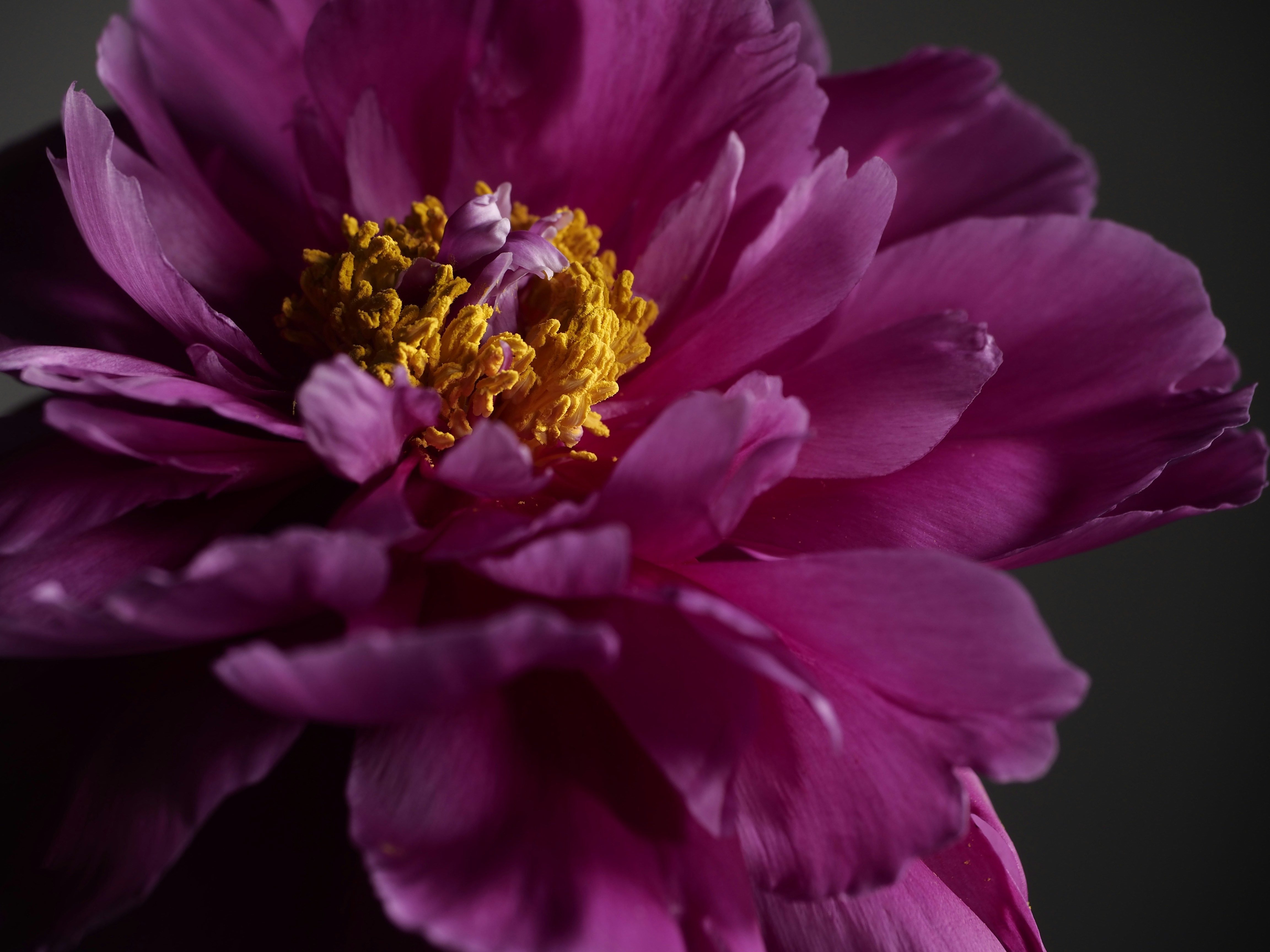 Photo by mariskavereijken