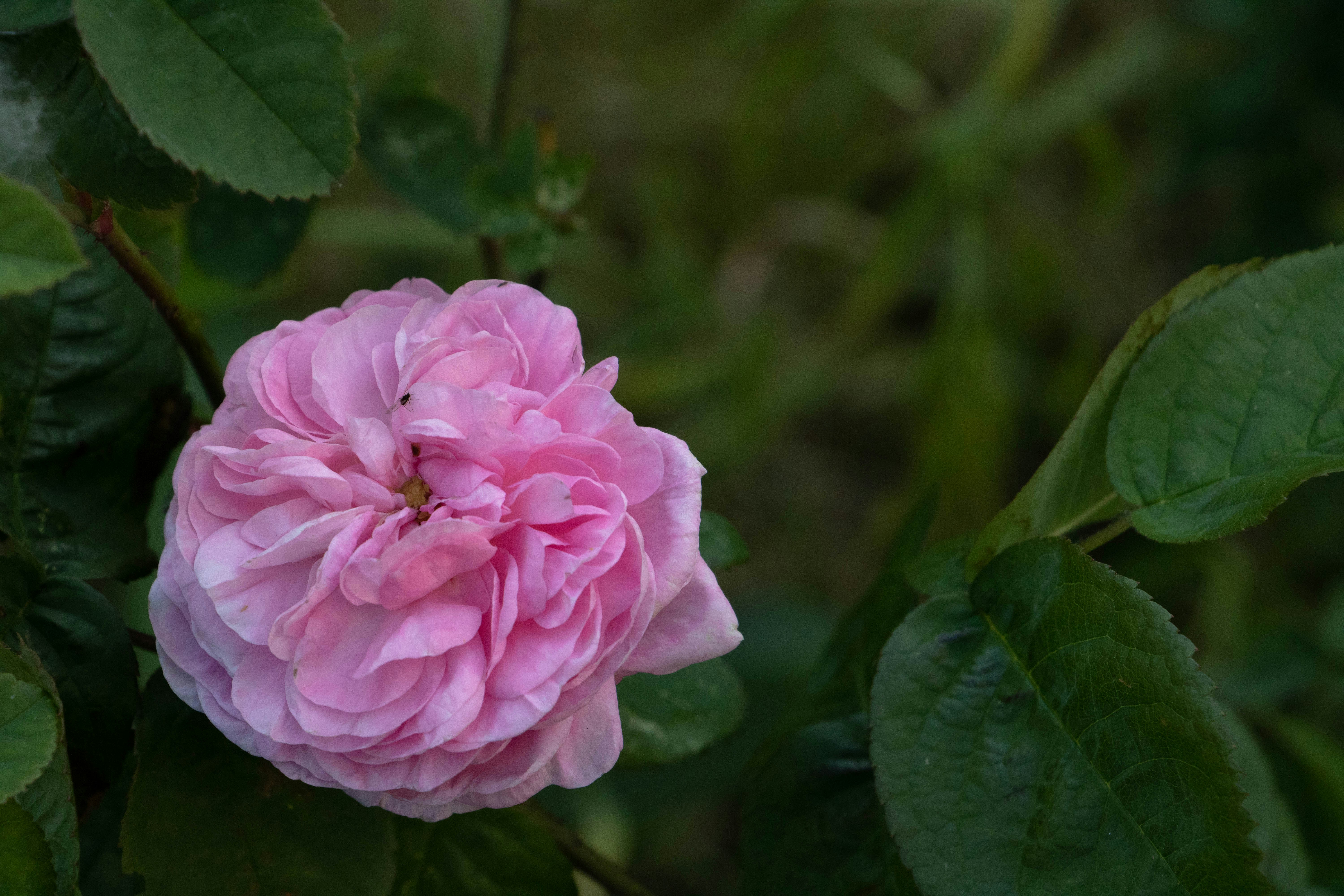 Photo by filipp_karpenko