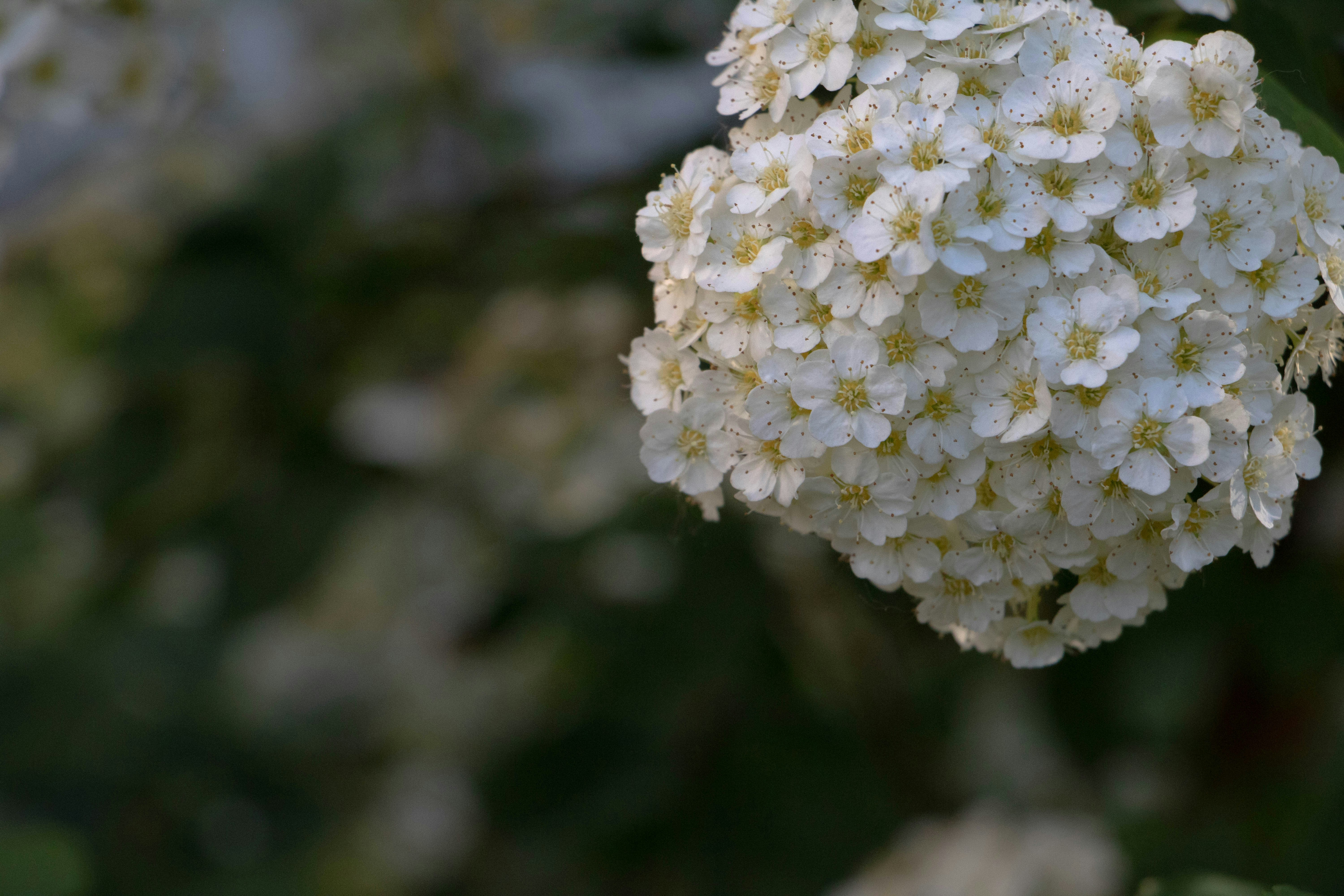 Photo by filipp_karpenko