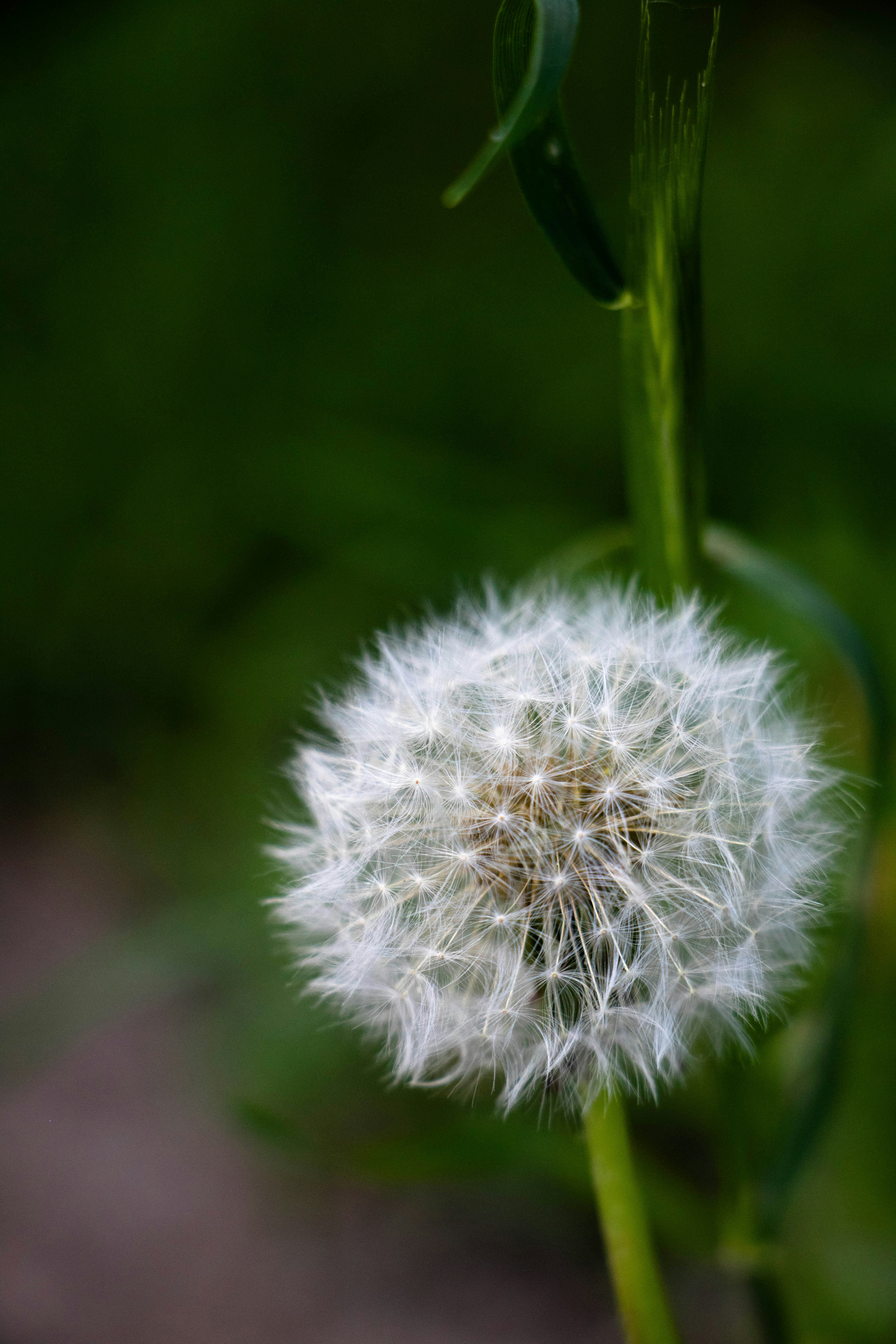 Photo by filipp_karpenko