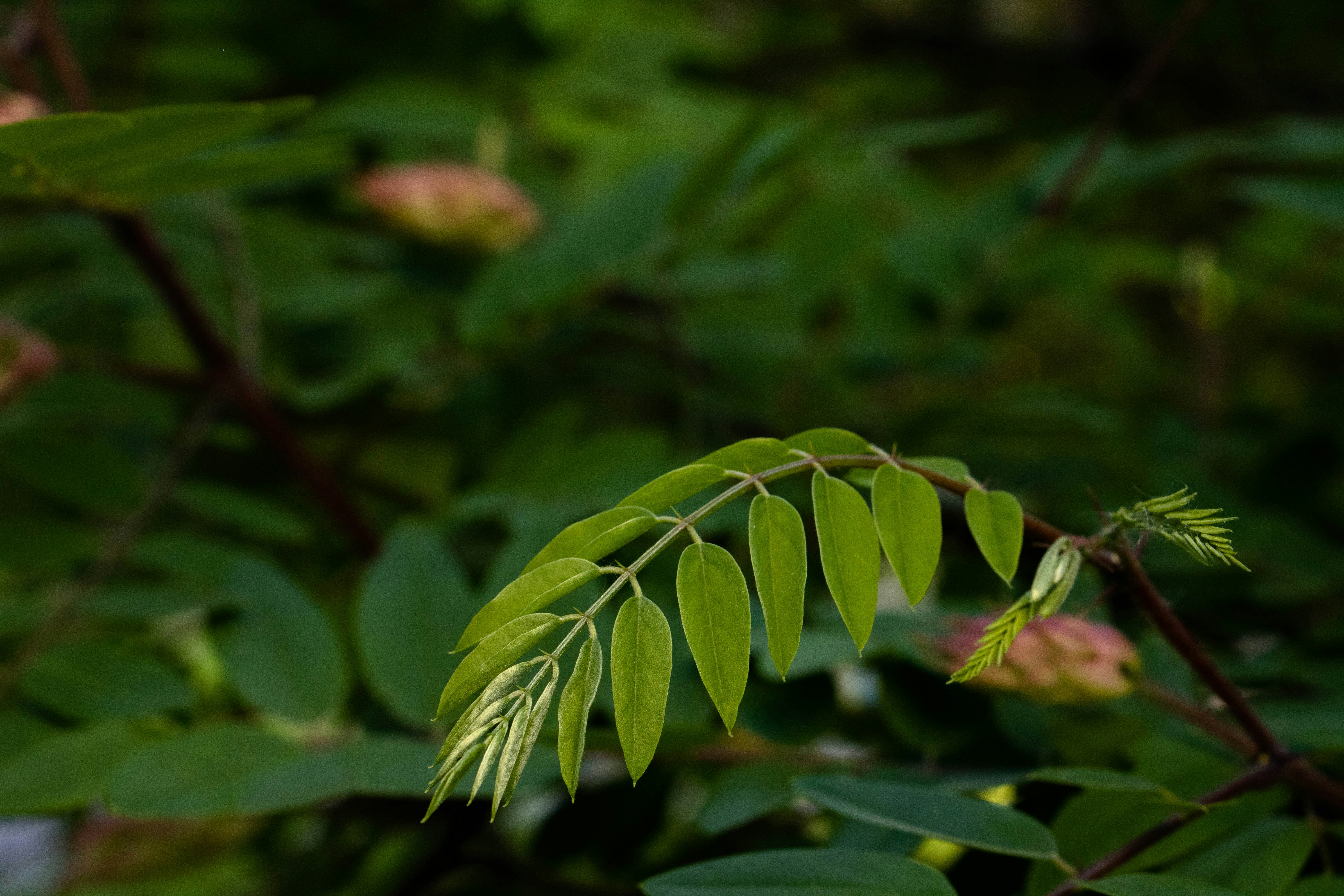 Photo by filipp_karpenko