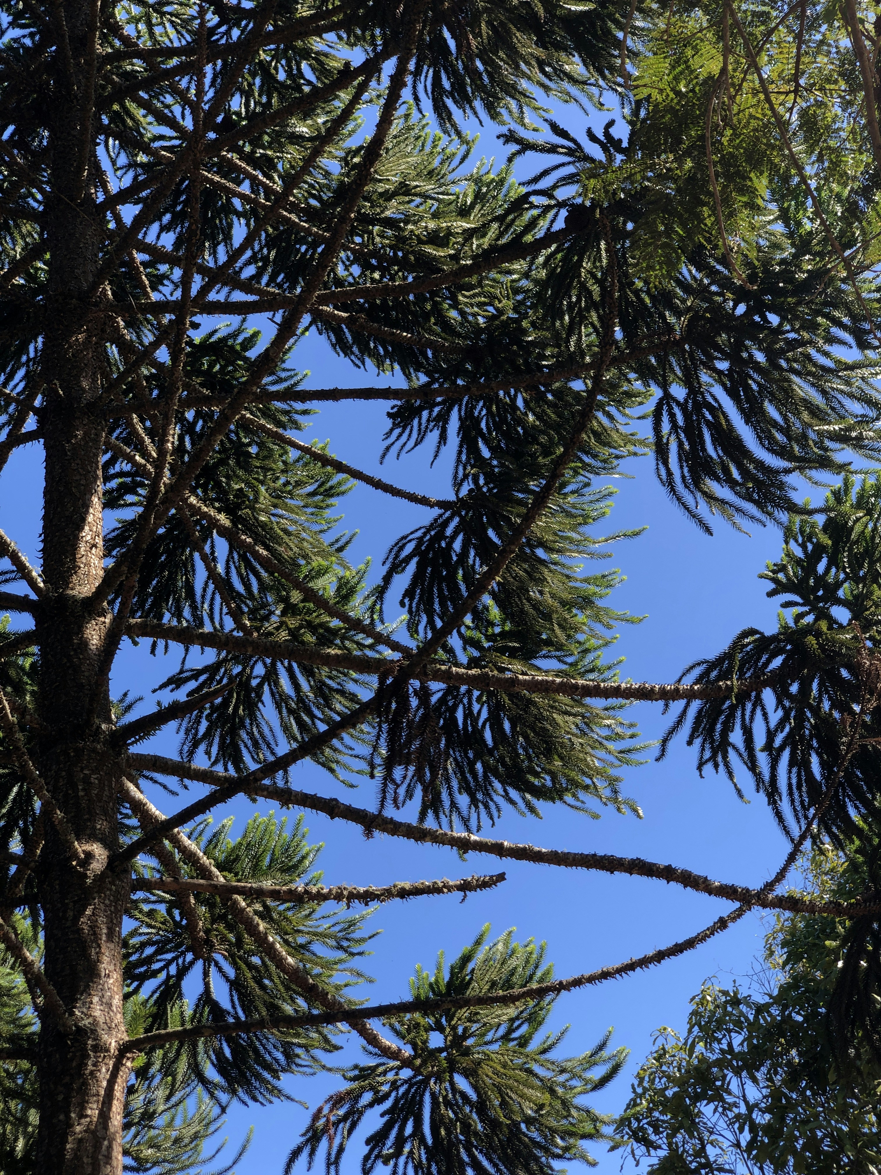 Photo by evertonandrad7