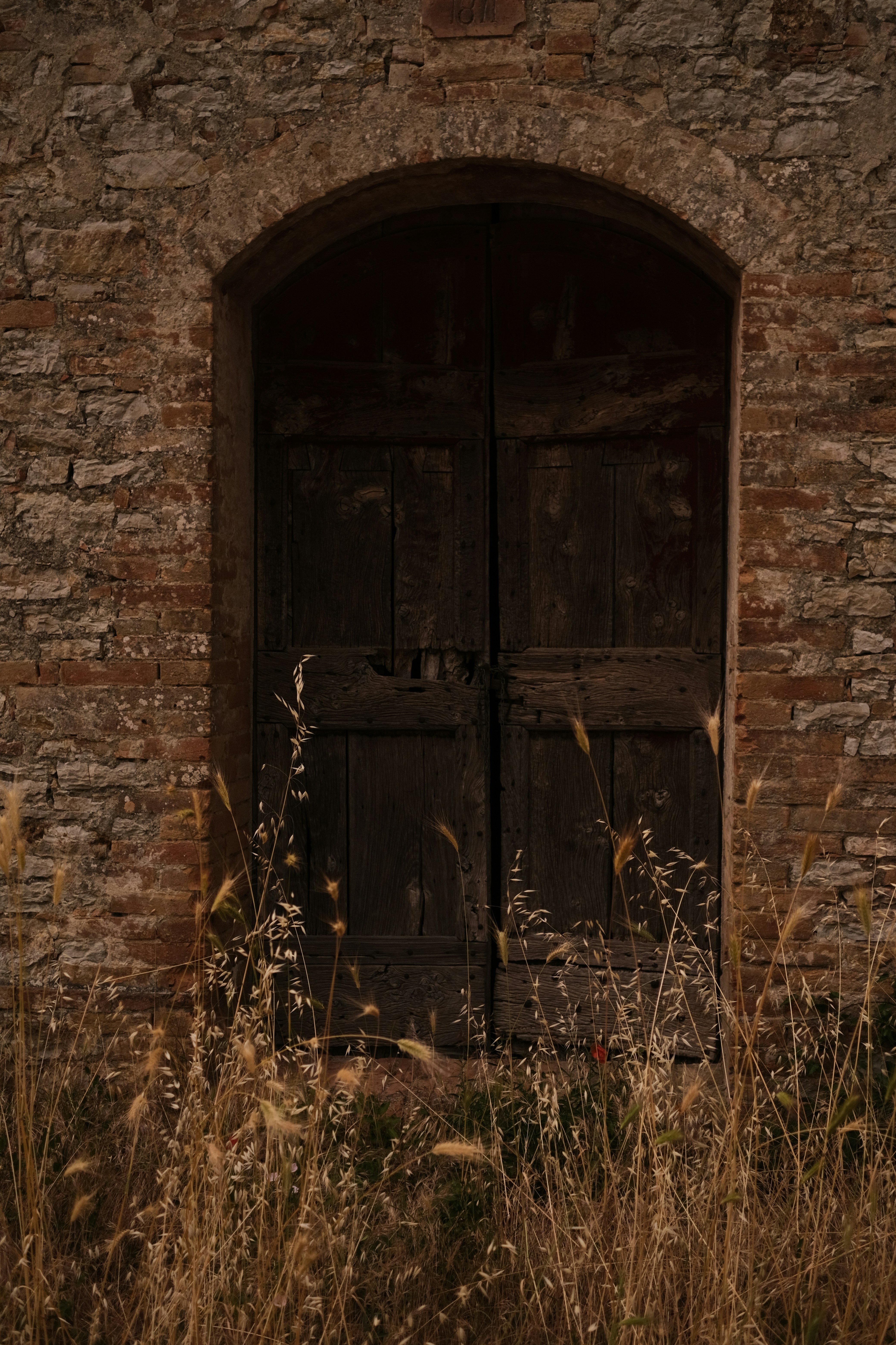 Photo by gabrielreisnf