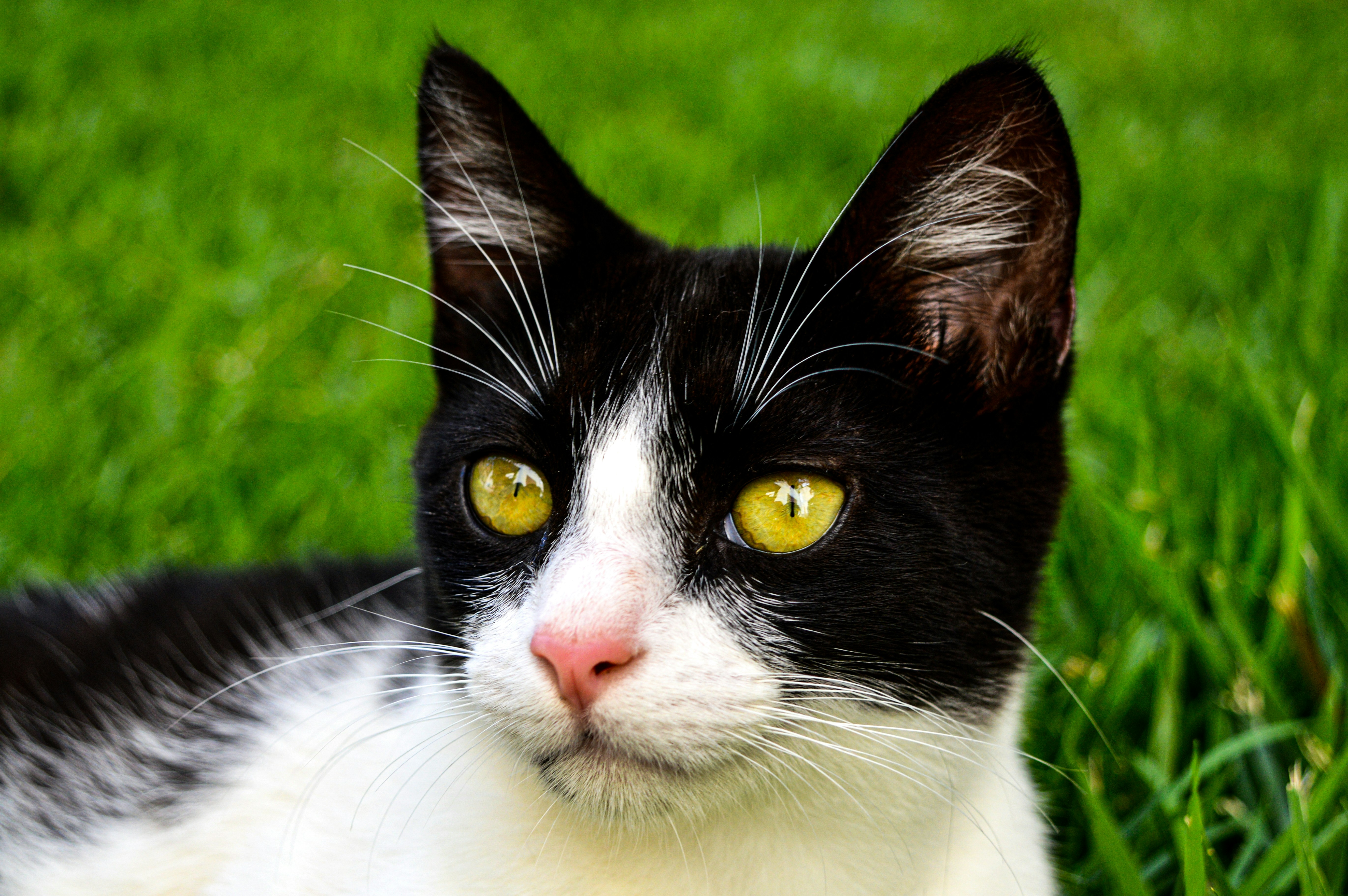 Photo by aureliaferreira