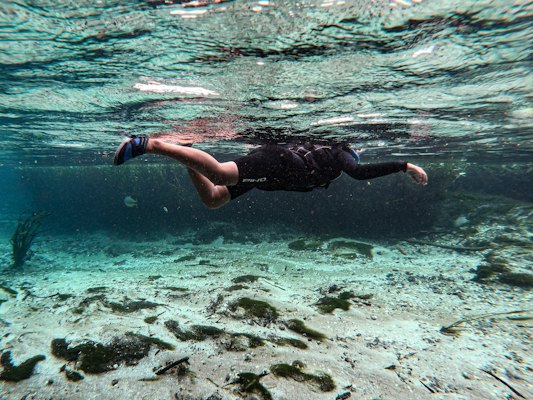 A snorkeller floating over the riverbed — Bonito, Brazil