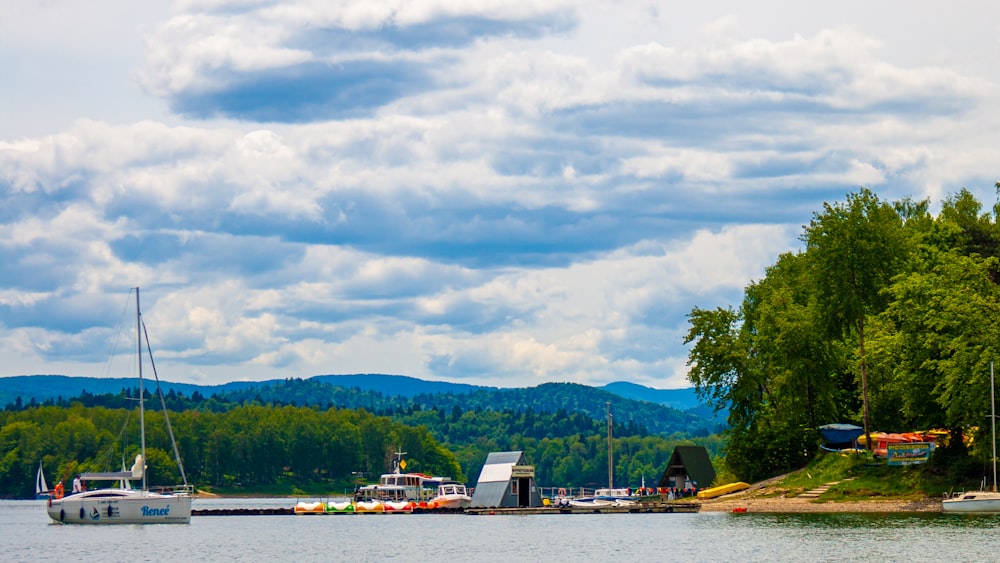 a body of water surrounded by trees and boats