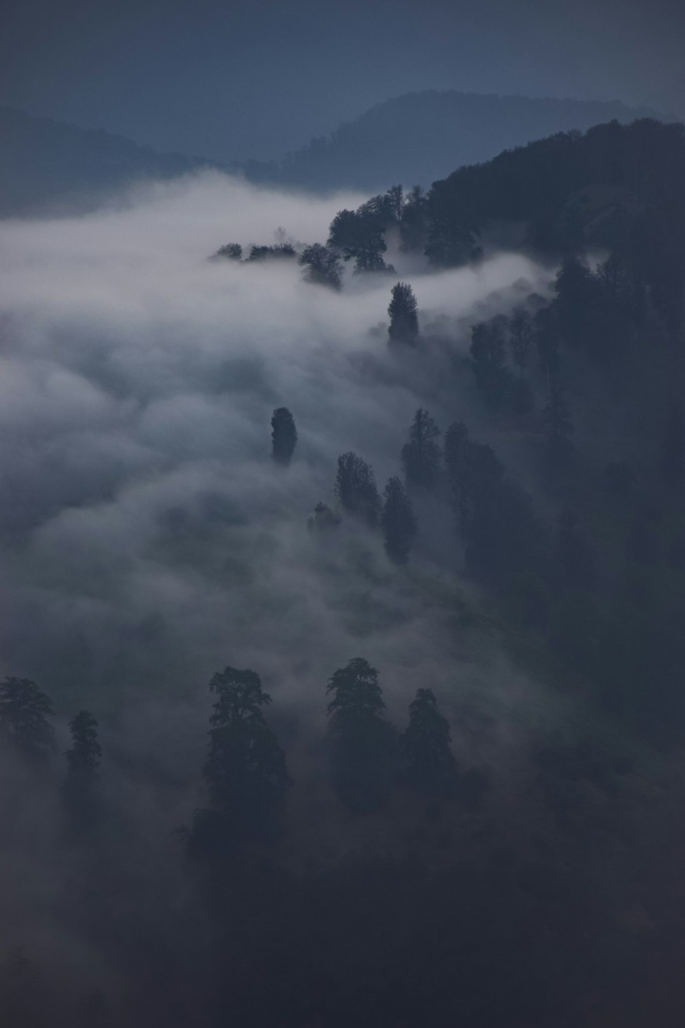Une montagne brumeuse avec des arbres au premier plan