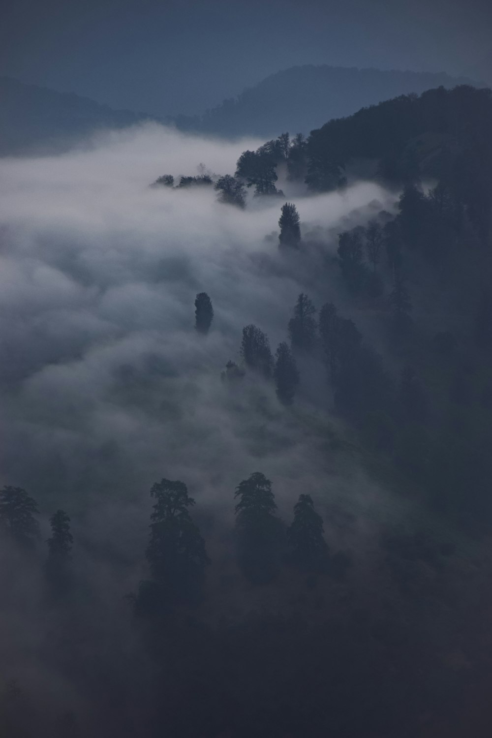 a foggy mountain with trees in the foreground