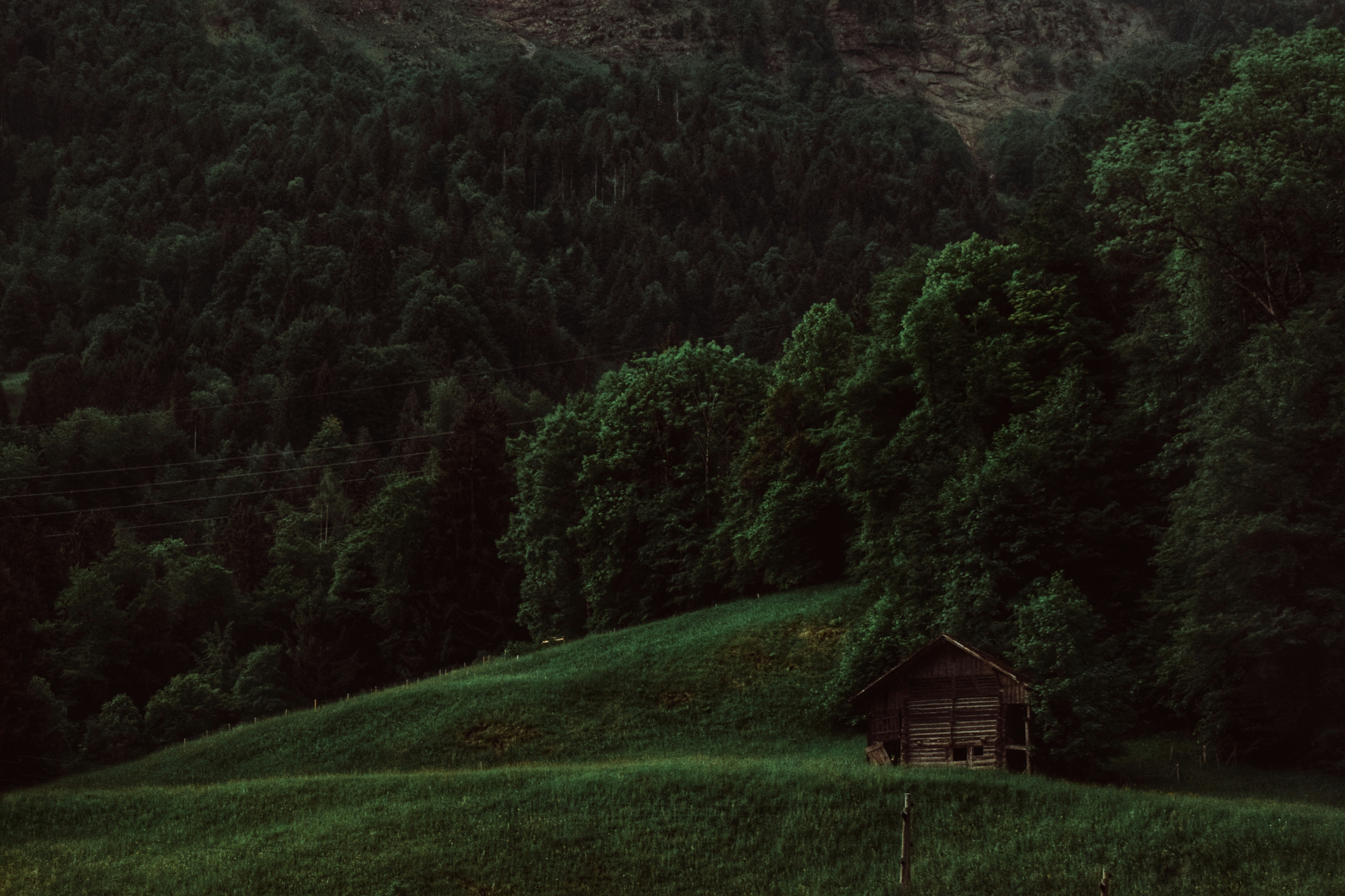 Photo by annaacurcan
