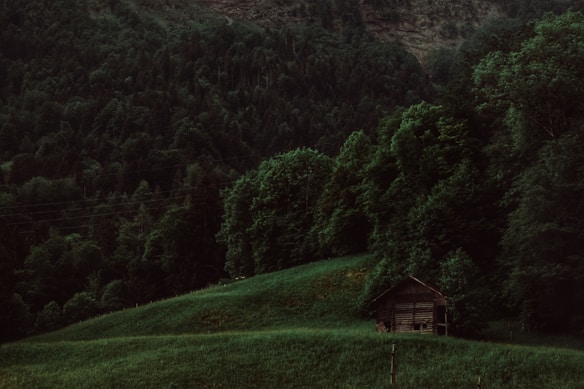 A rustic wooden cabin sits nestled in a lush, dense forest landscape. The surrounding greenery is rich and vibrant, with a variety of trees covering rolling hills. The scene has a serene, untouched feel to it, enhanced by the overcast lighting.