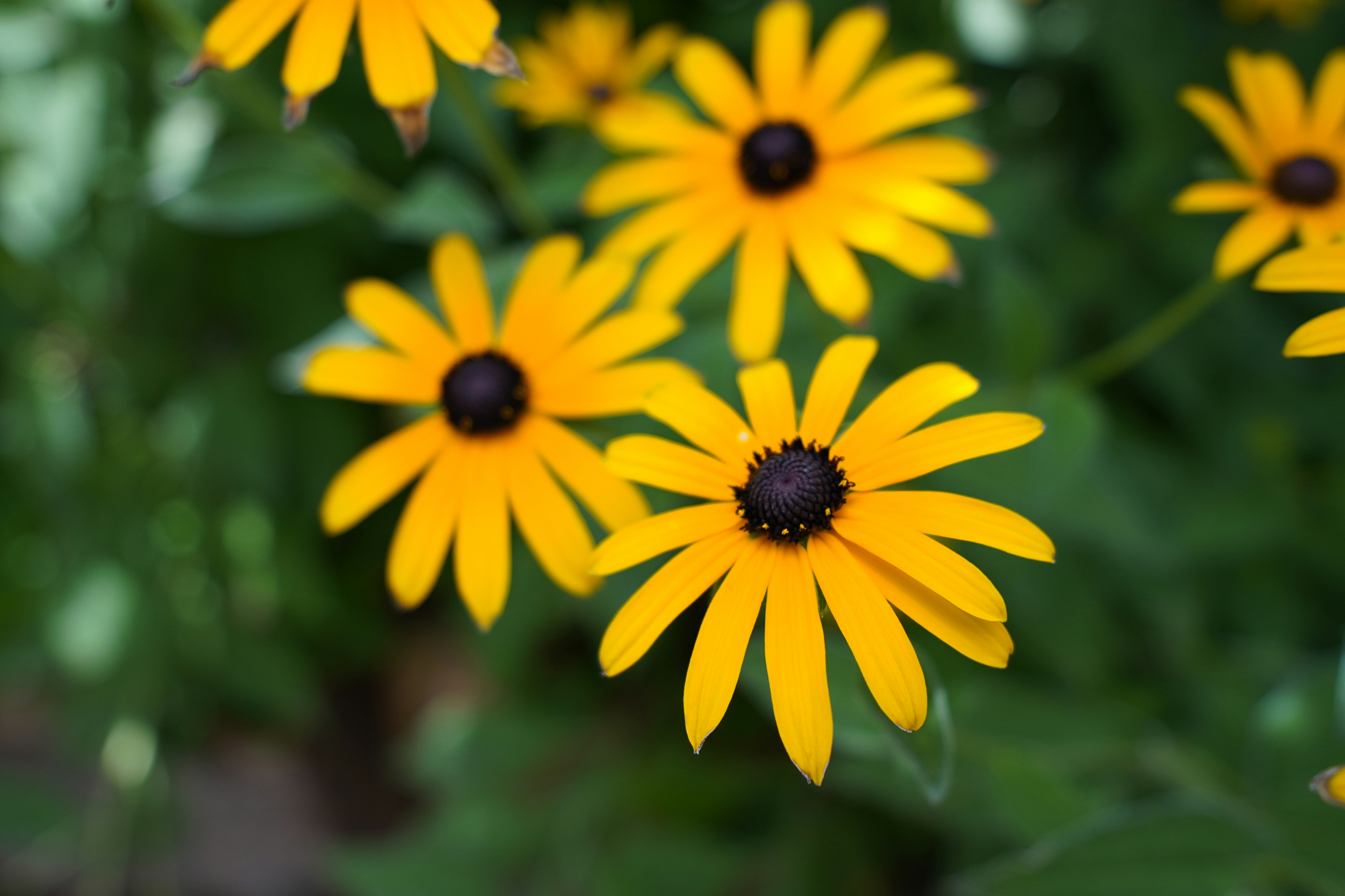 Photo by brettwharton