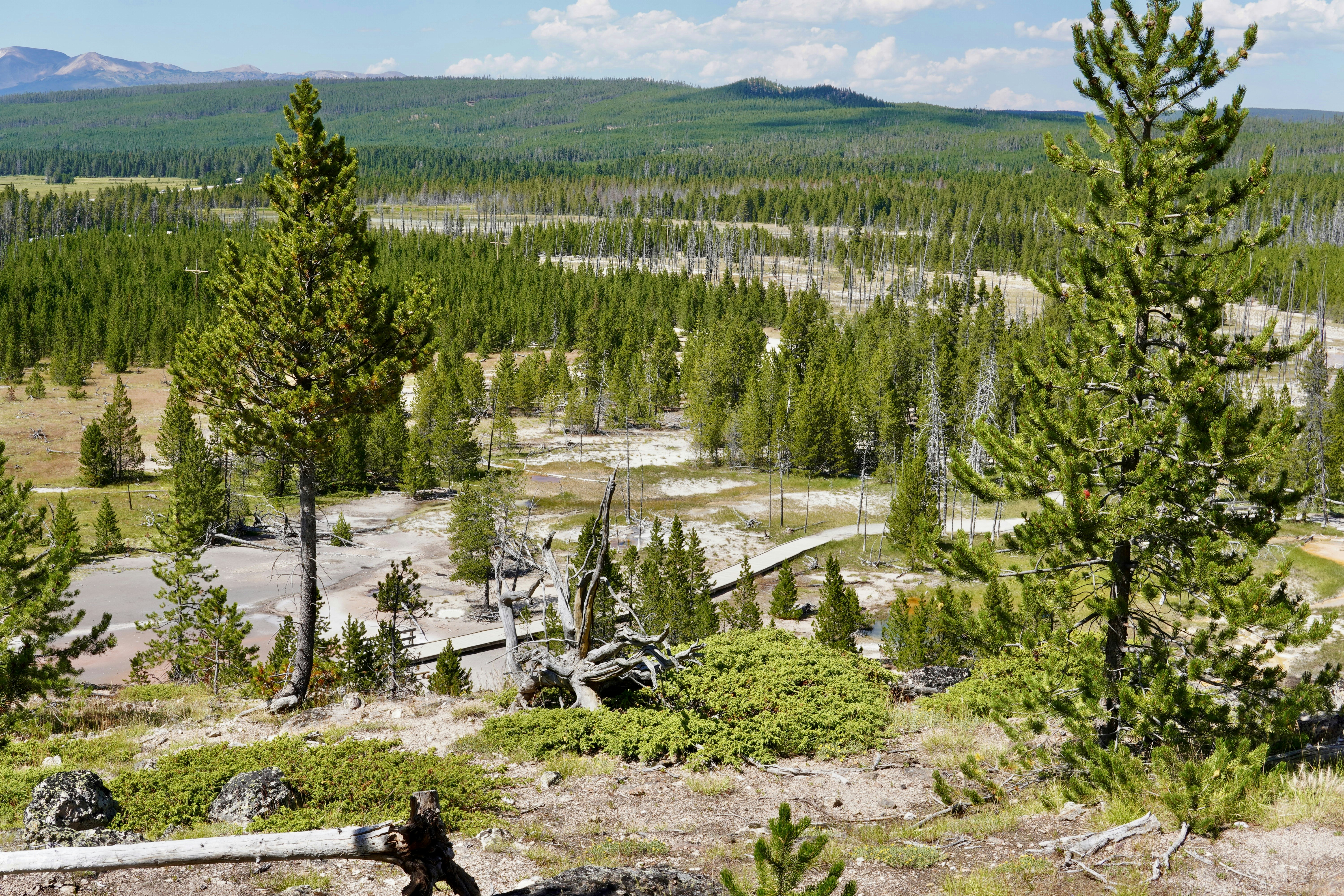 Monitoring the Monster: Technology Watching Yellowstone 24/7 - Yellowstone supervolcano hydrothermal vents