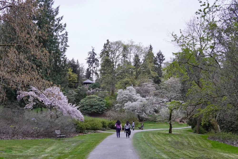 a group of people walking down a path in a park