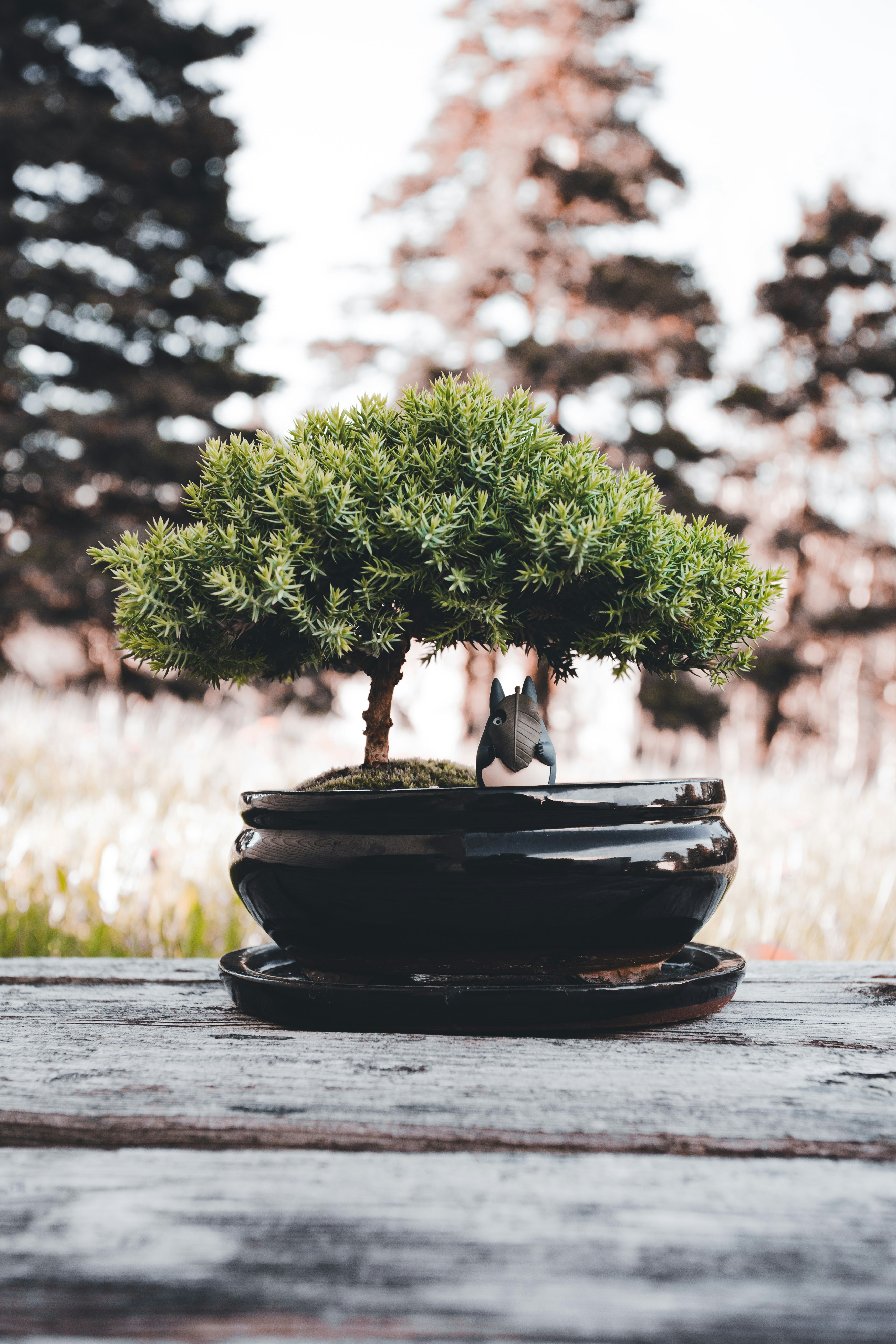 Photo by introspectivedsgn