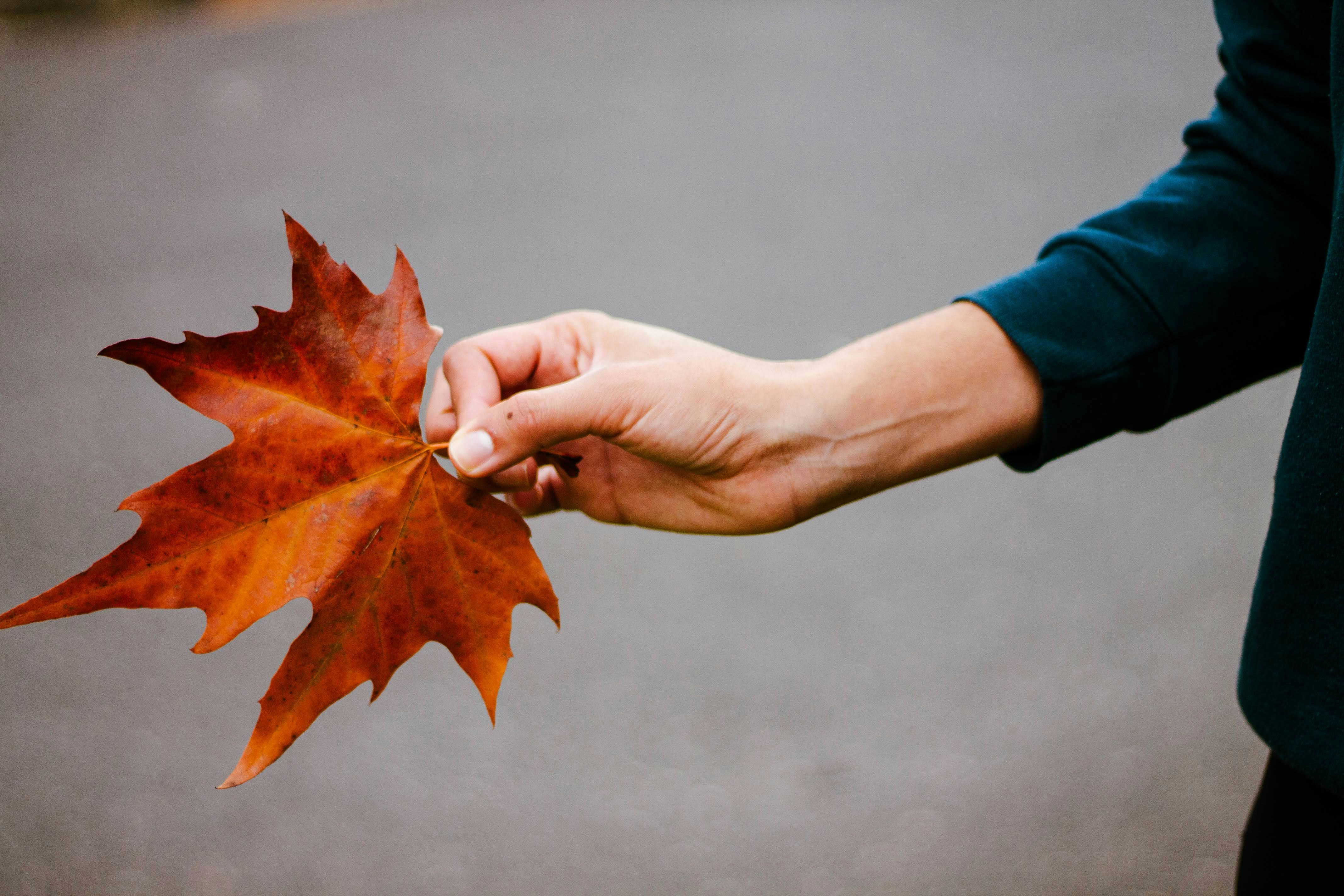 Photo by salescreations