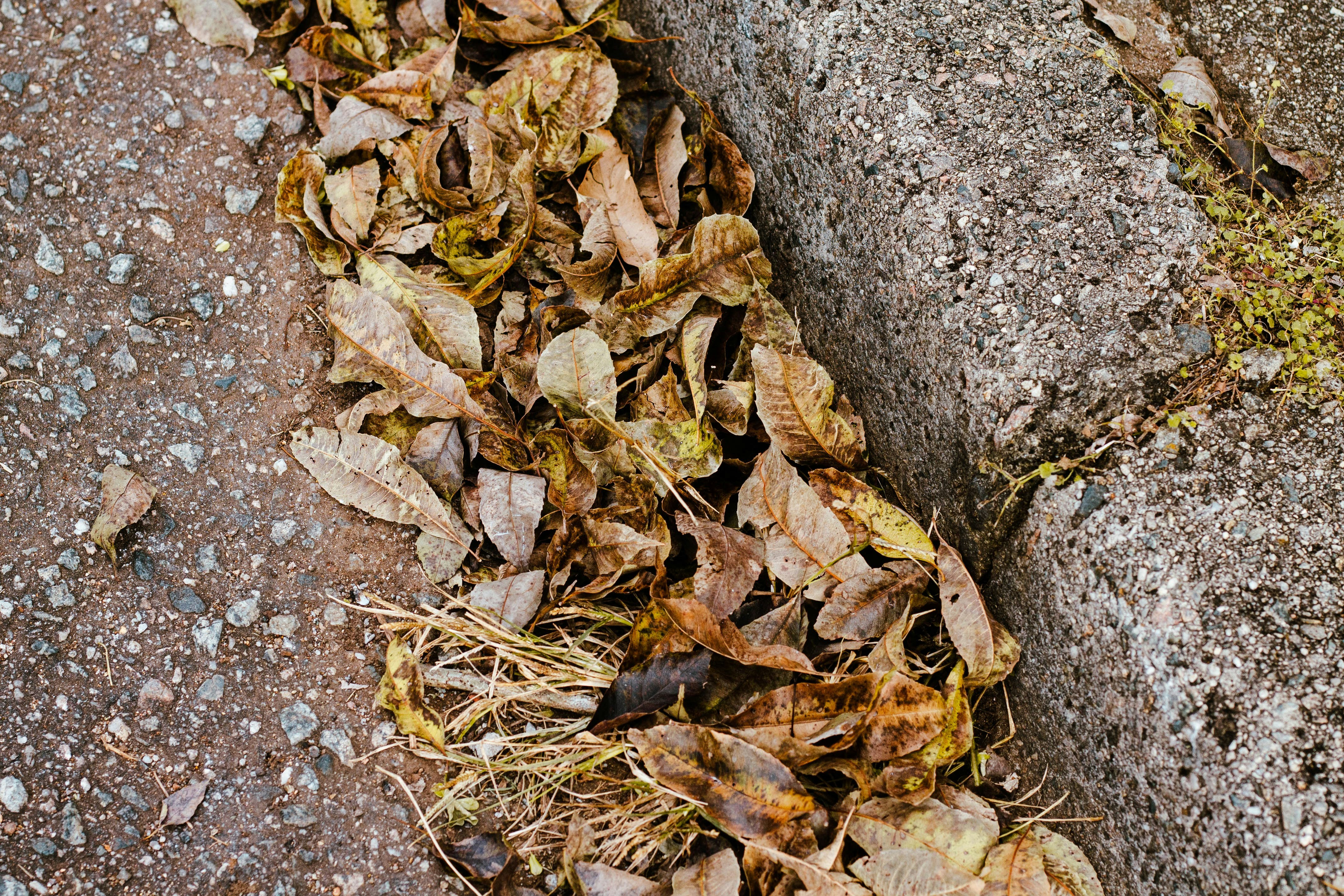 Photo by salescreations