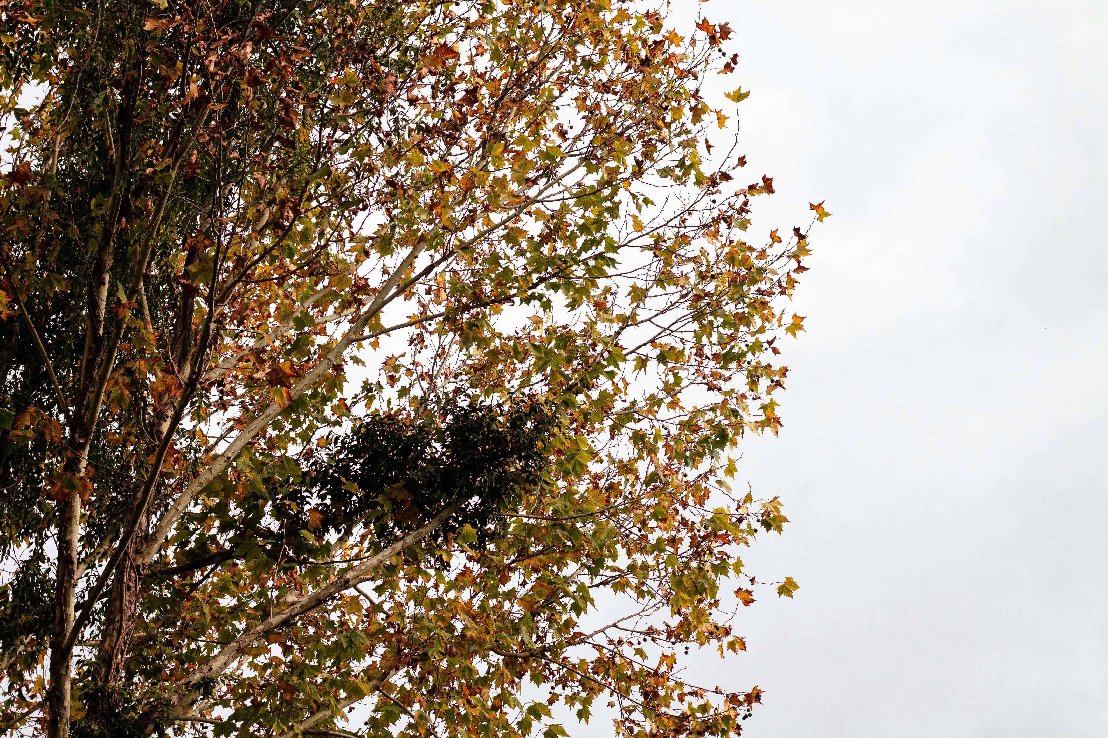 Photo by salescreations