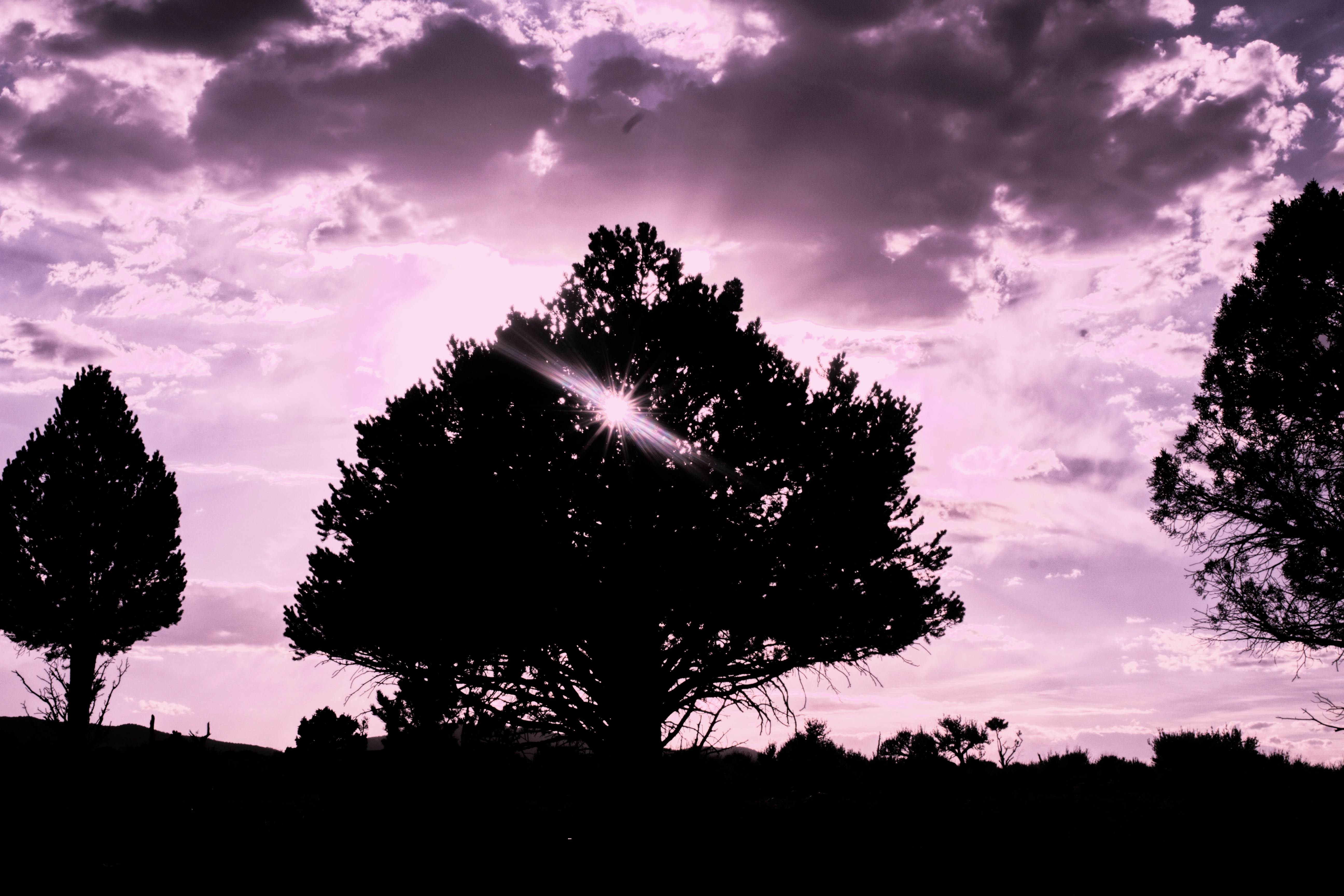 Photo by joshua_hoehne