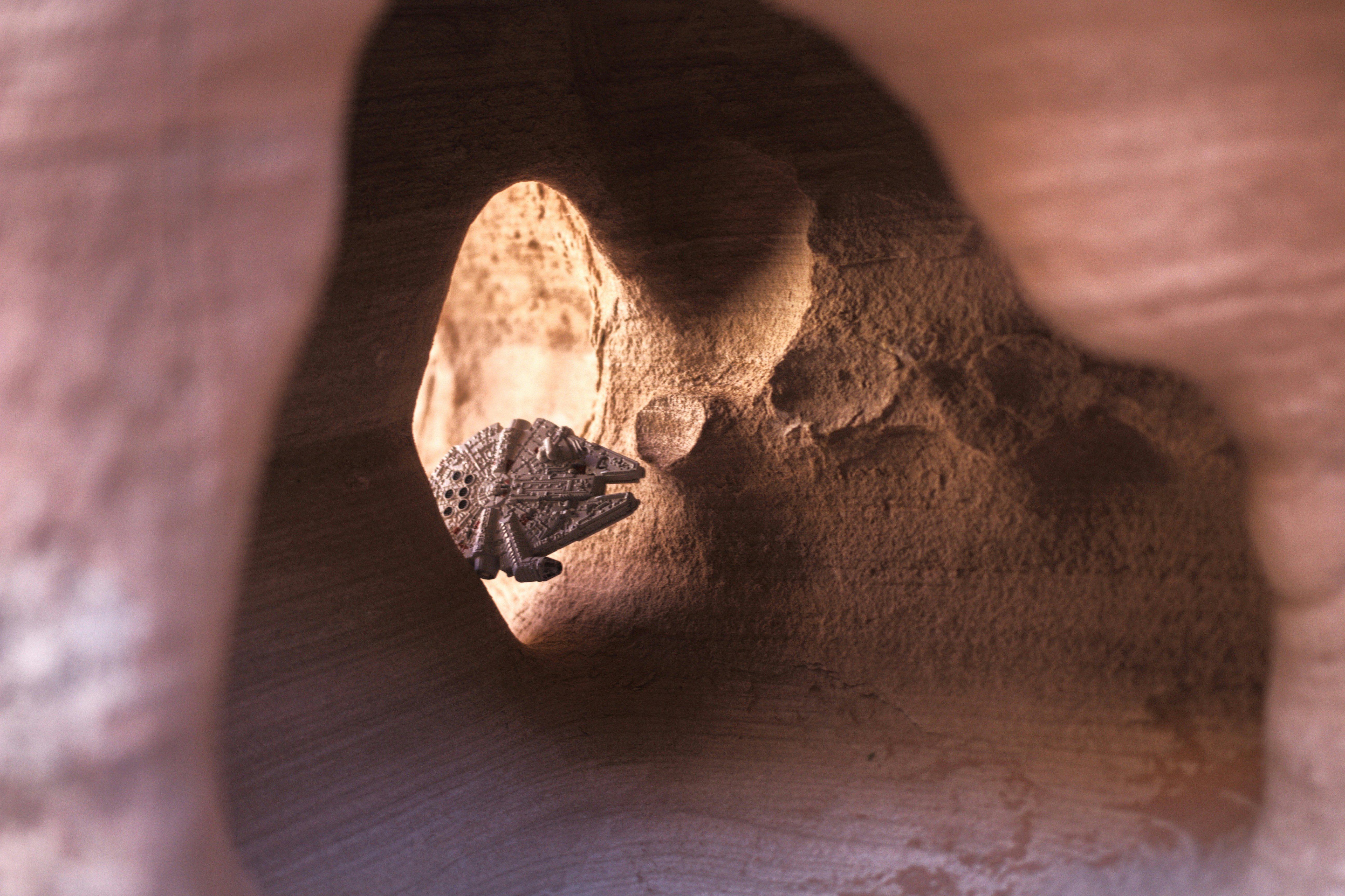 a close up of a rock with a small animal inside of it