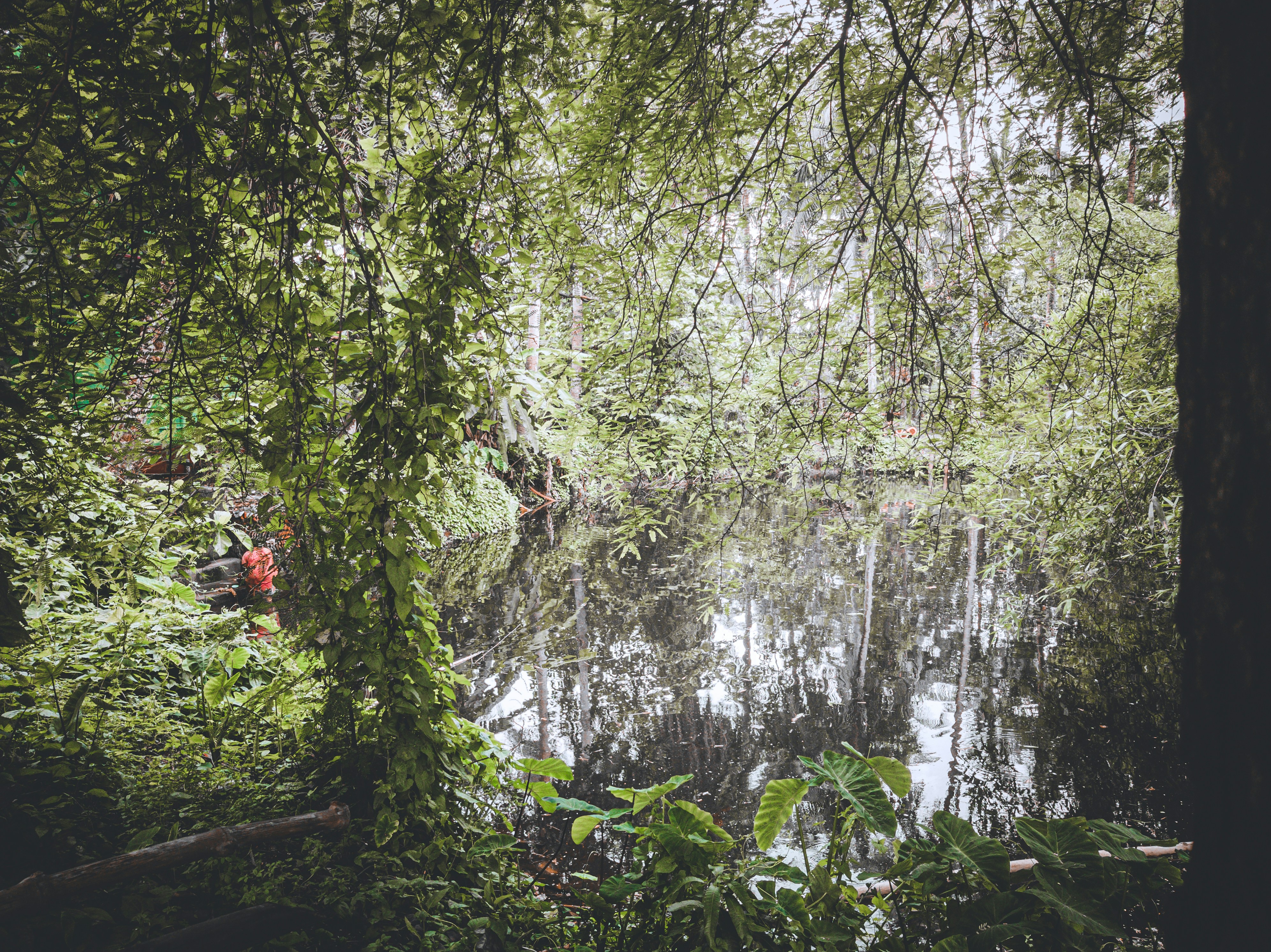 Photo by kunalkumarrit