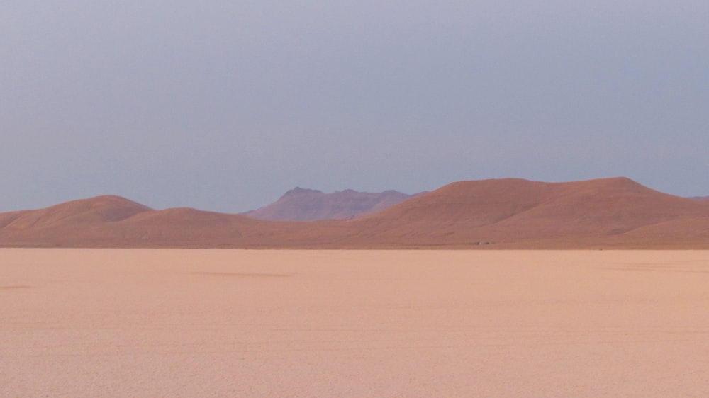 a lone horse standing in the middle of a desert