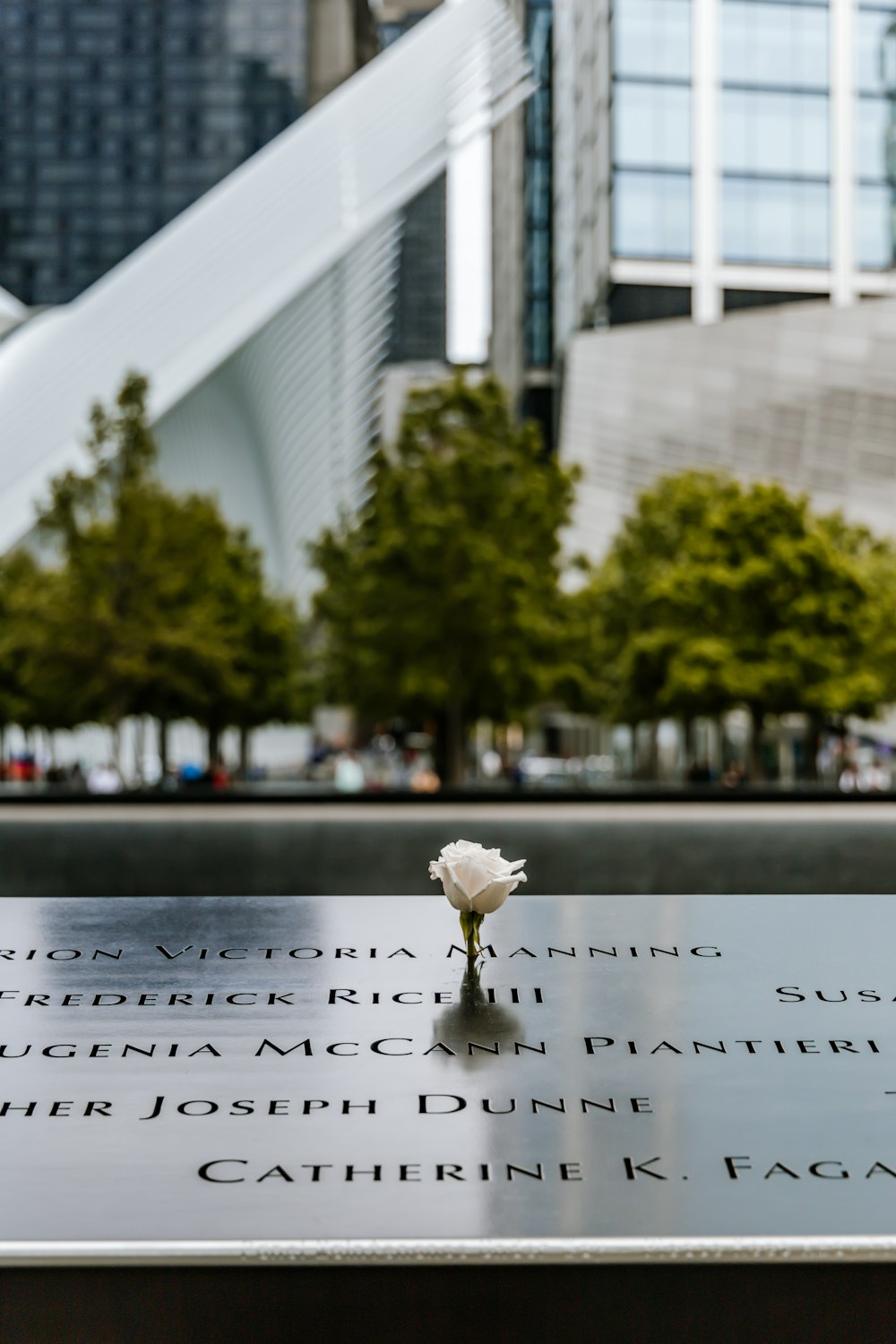 uma pequena flor branca é colocada em um memorial
