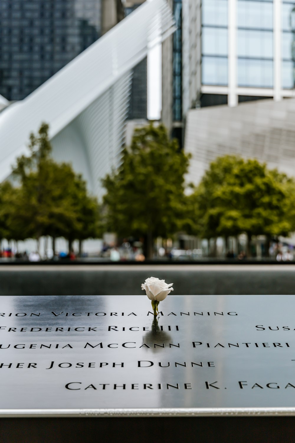 a small white flower is placed on a memorial