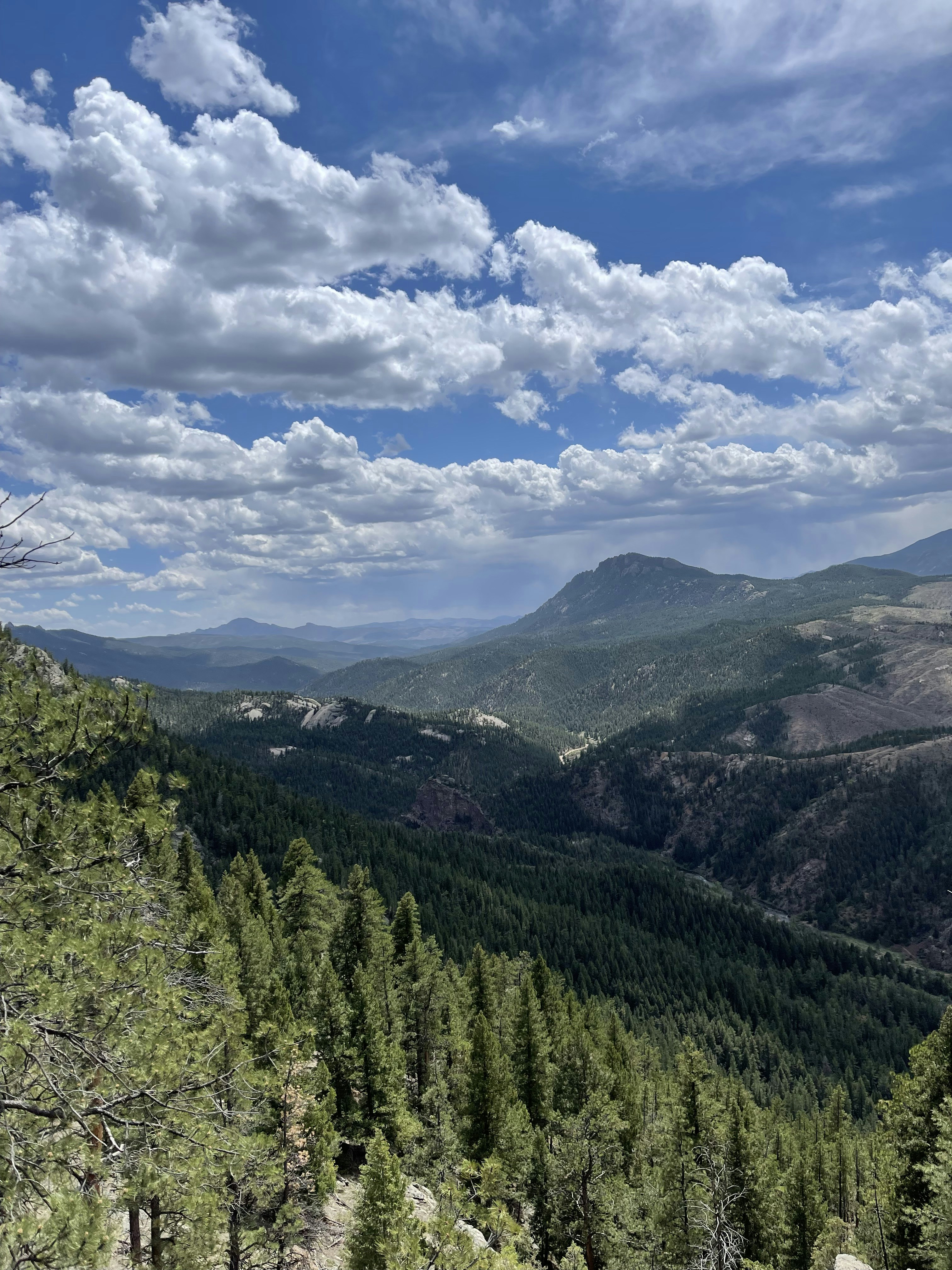 Photo by laitonbarbo