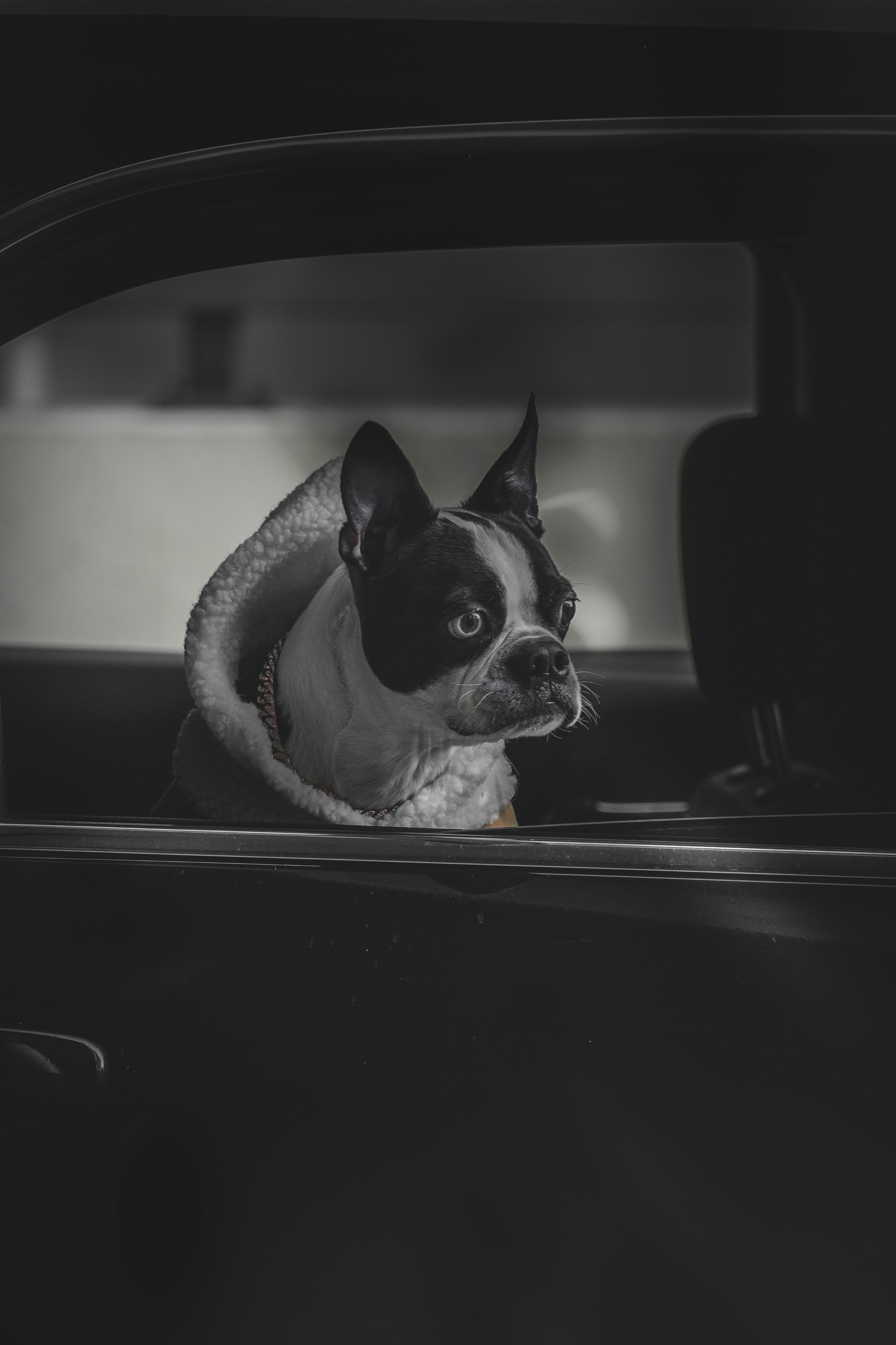 Photo by montaukproject