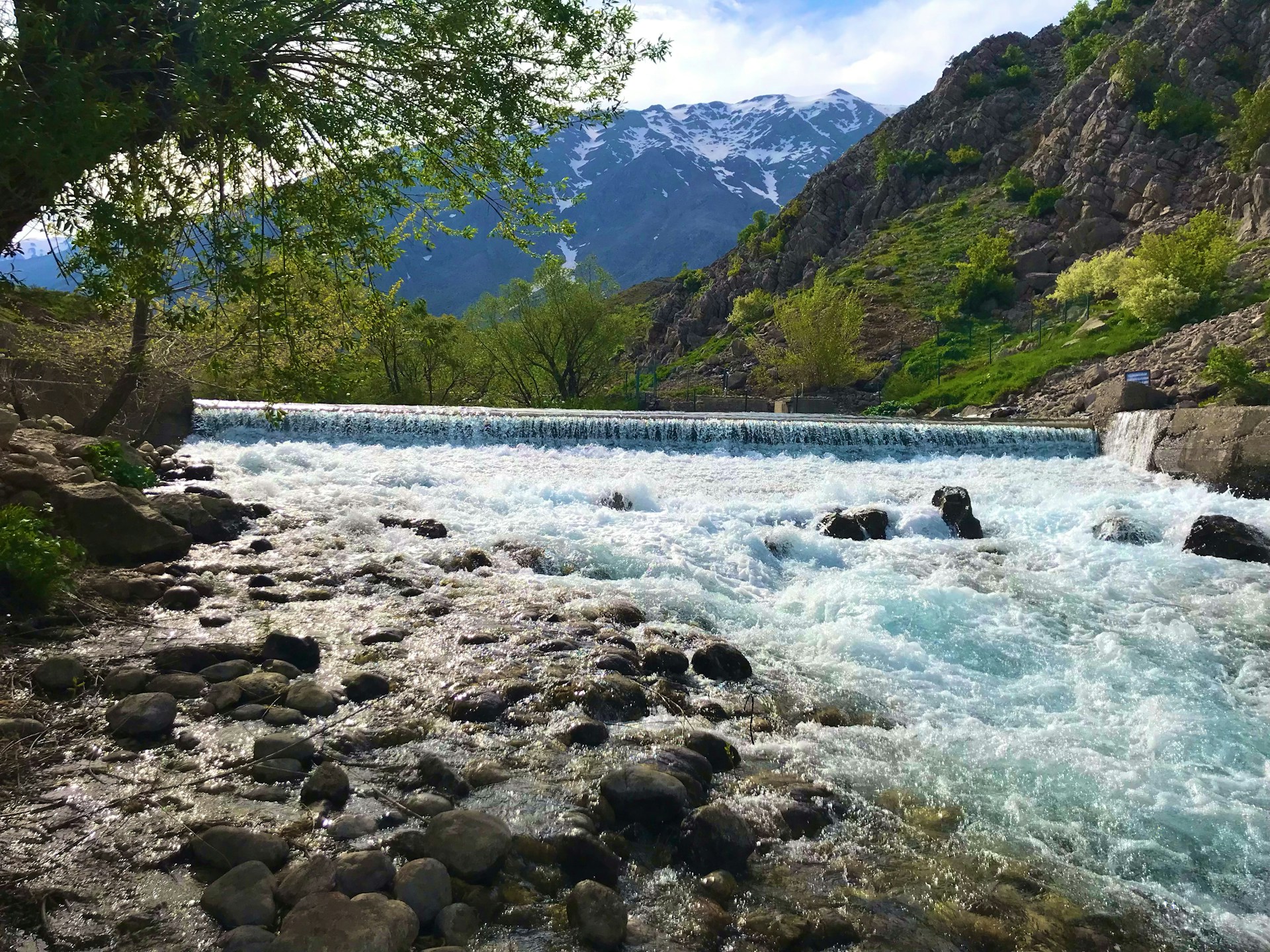 a river running through a lush green forest