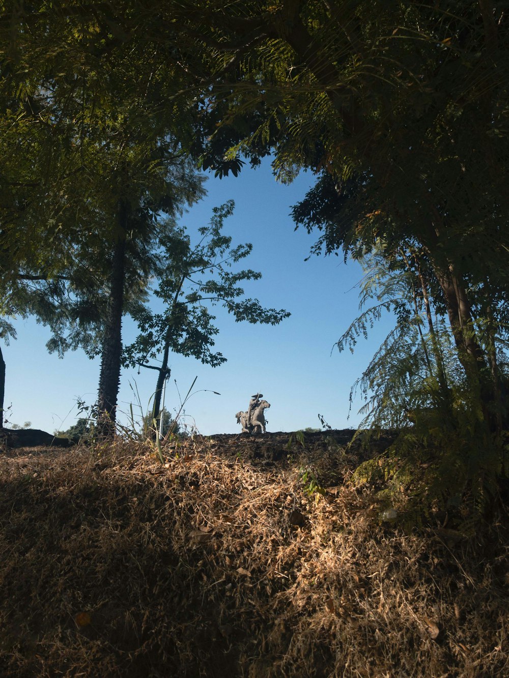 a man riding a motorcycle down a dirt road