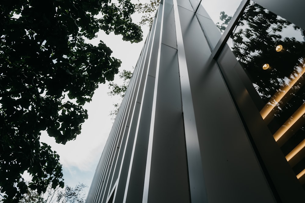 looking up at the side of a tall building