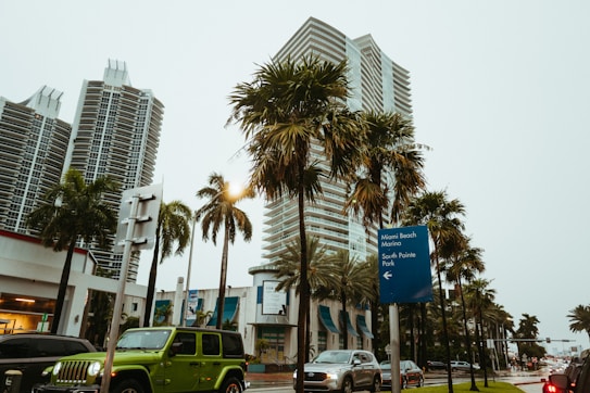 Tall modern buildings surrounded by palm trees line a street. A green Jeep is parked alongside other vehicles. A blue directional sign points towards Miami Beach Marina and South Pointe Park. The sky is overcast, creating a subdued atmosphere.
