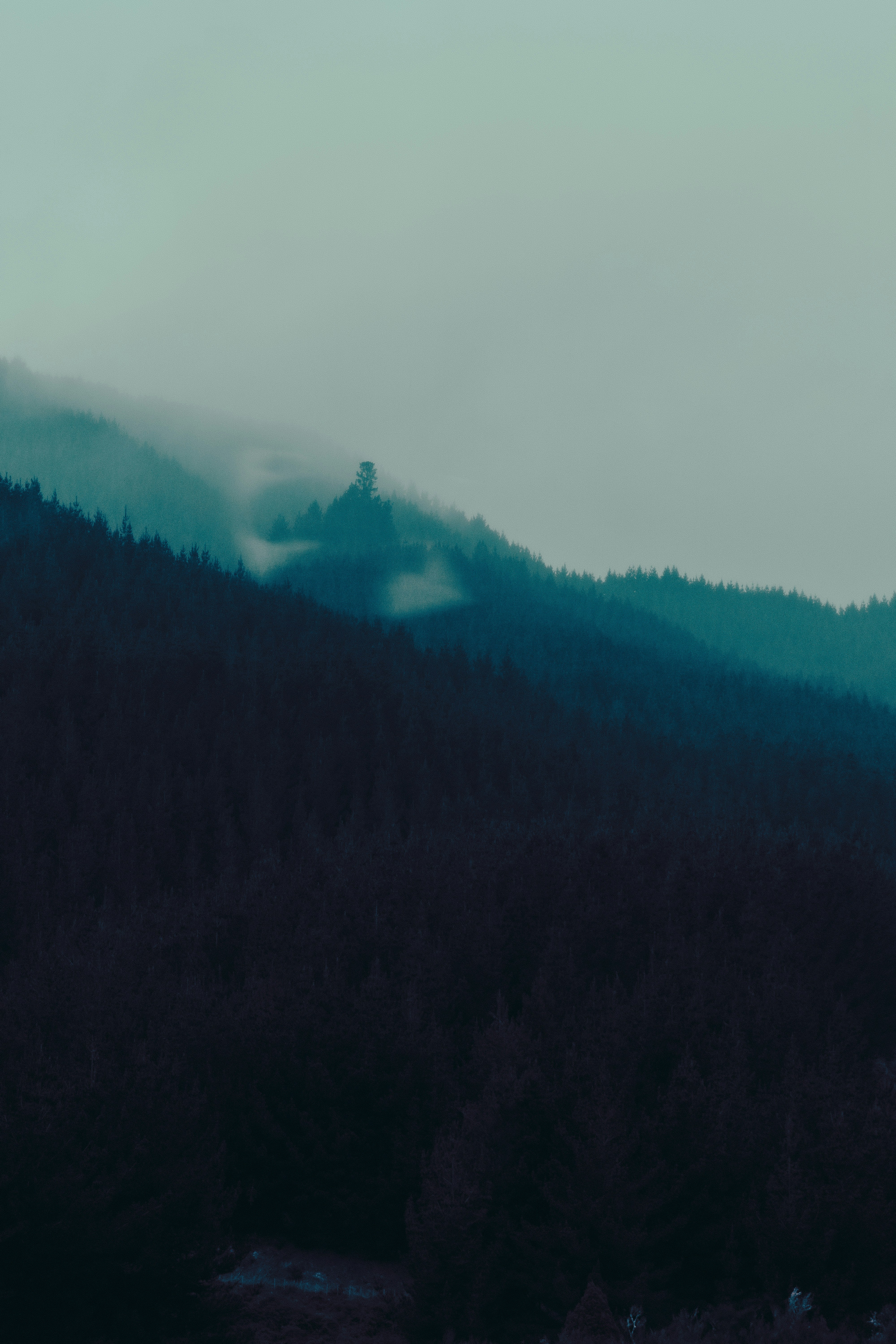 Photo by vivek_chandran