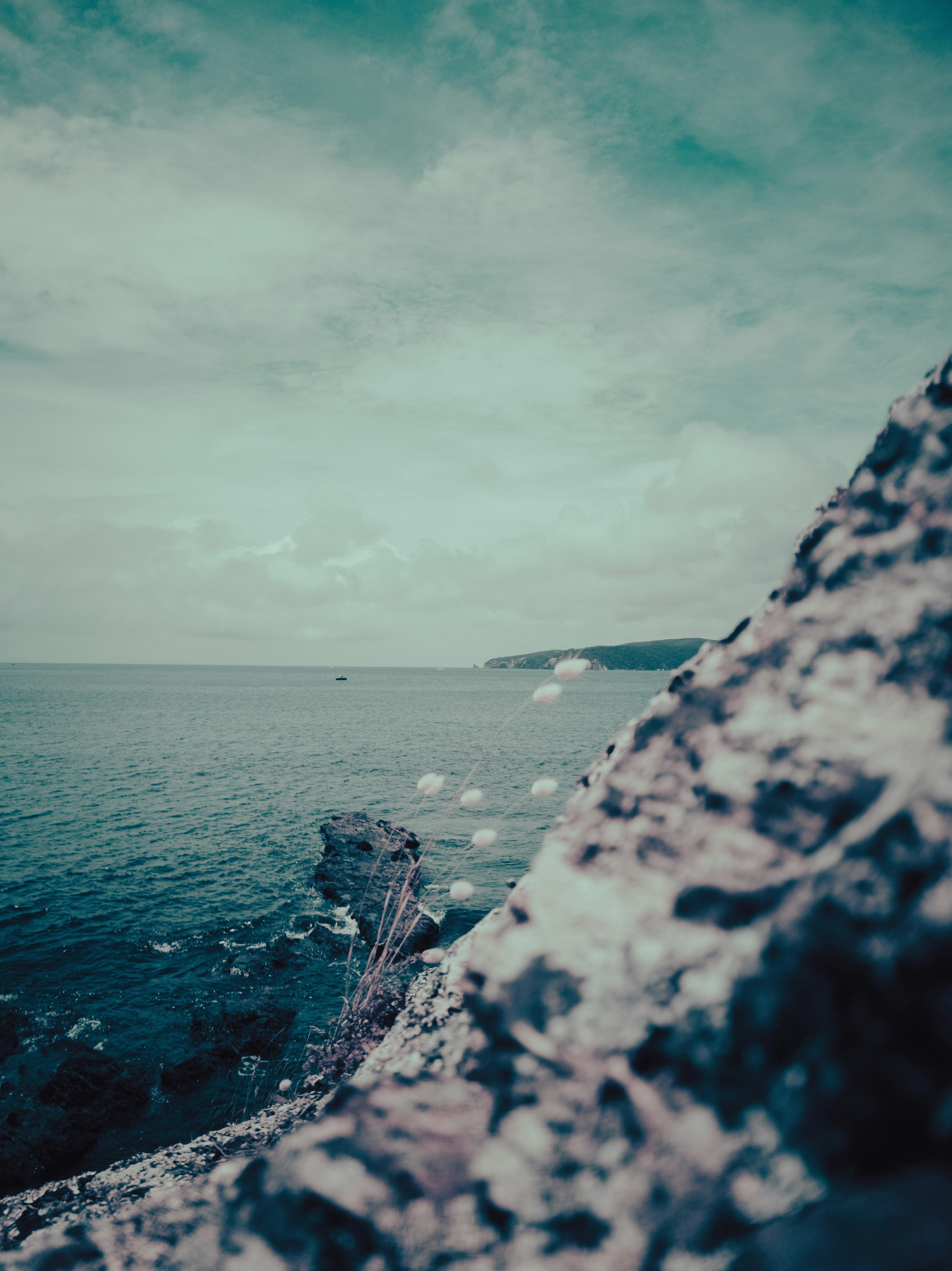 Photo by vivek_chandran