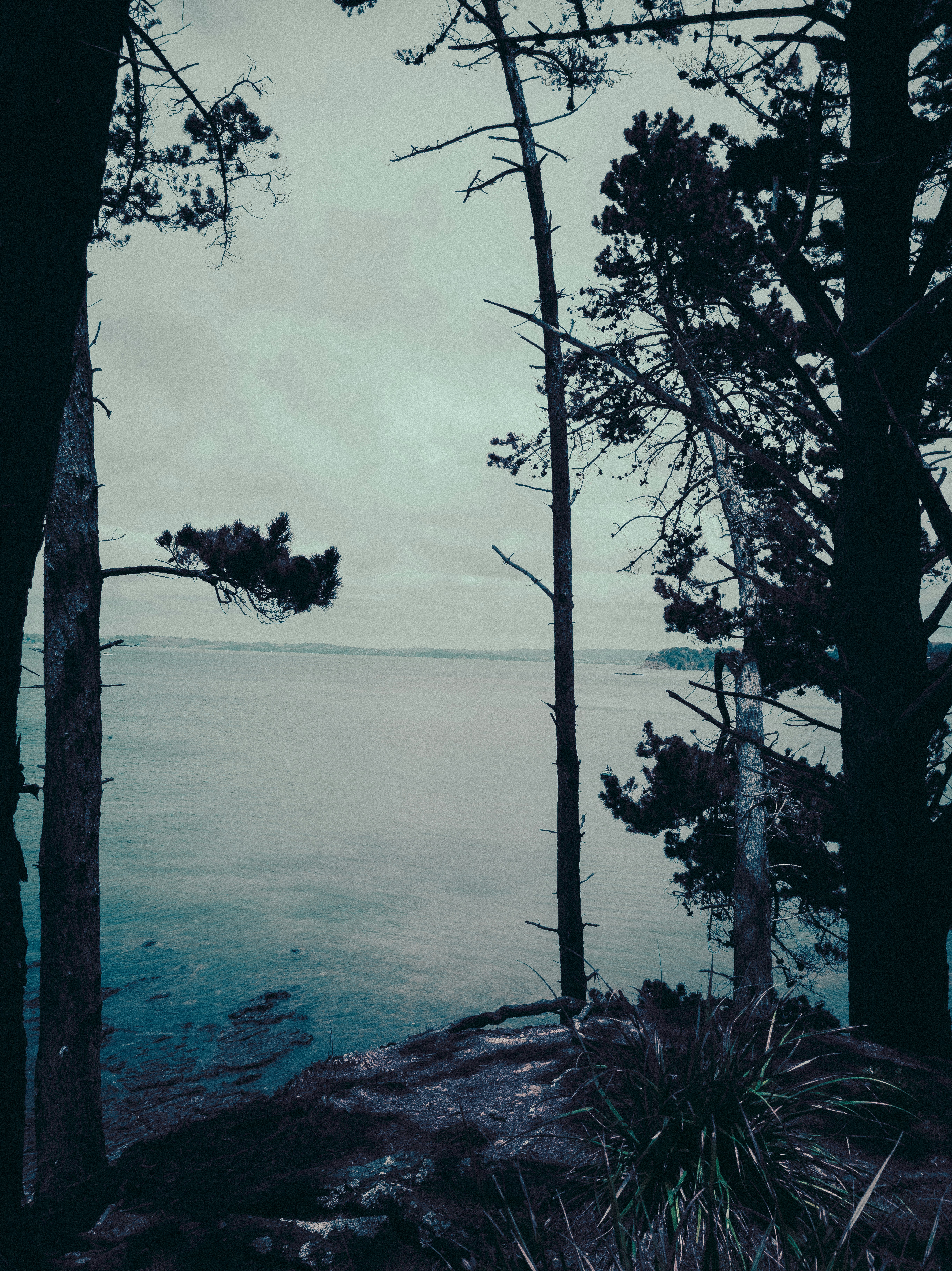 Photo by vivek_chandran