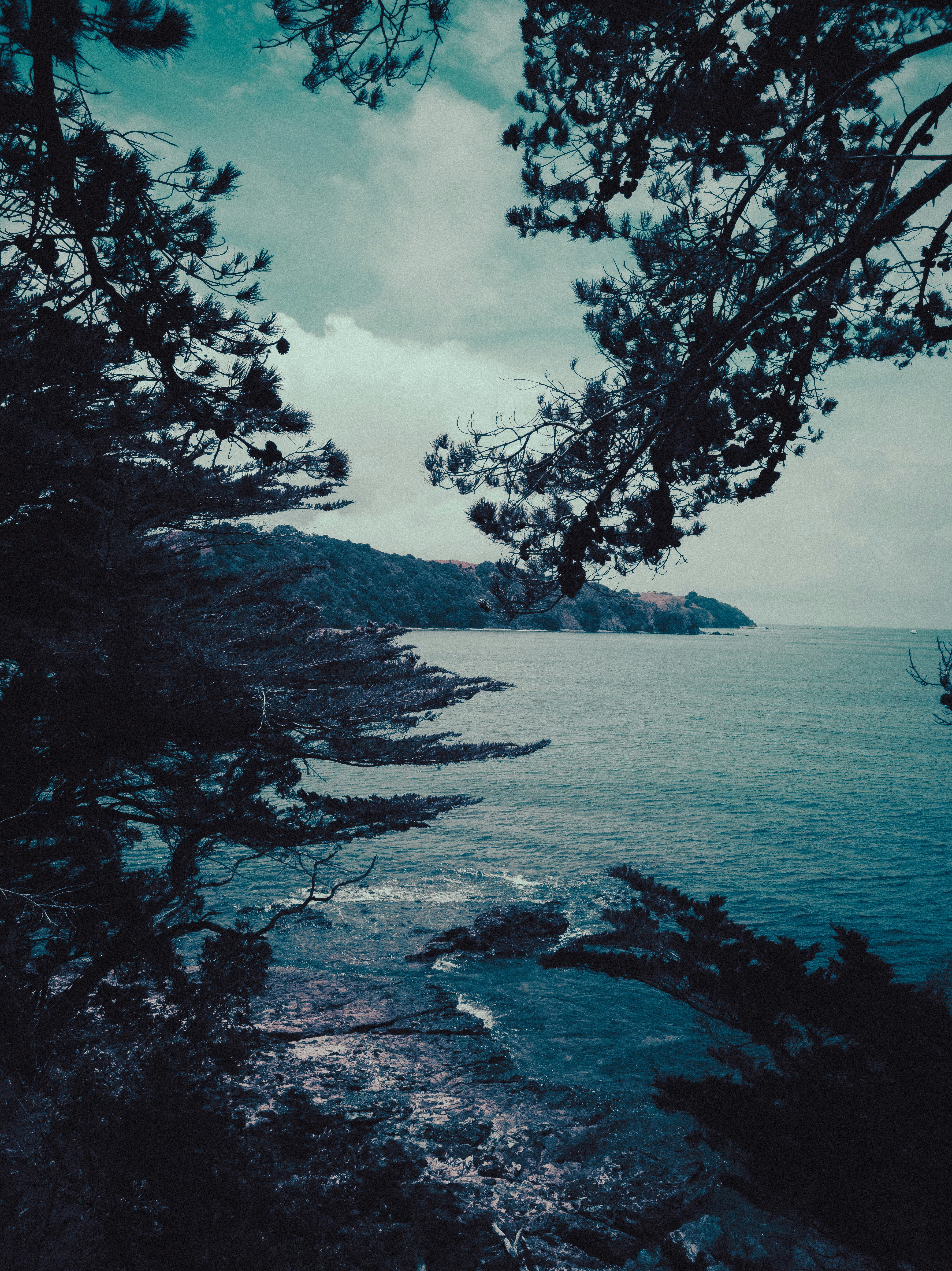 Photo by vivek_chandran