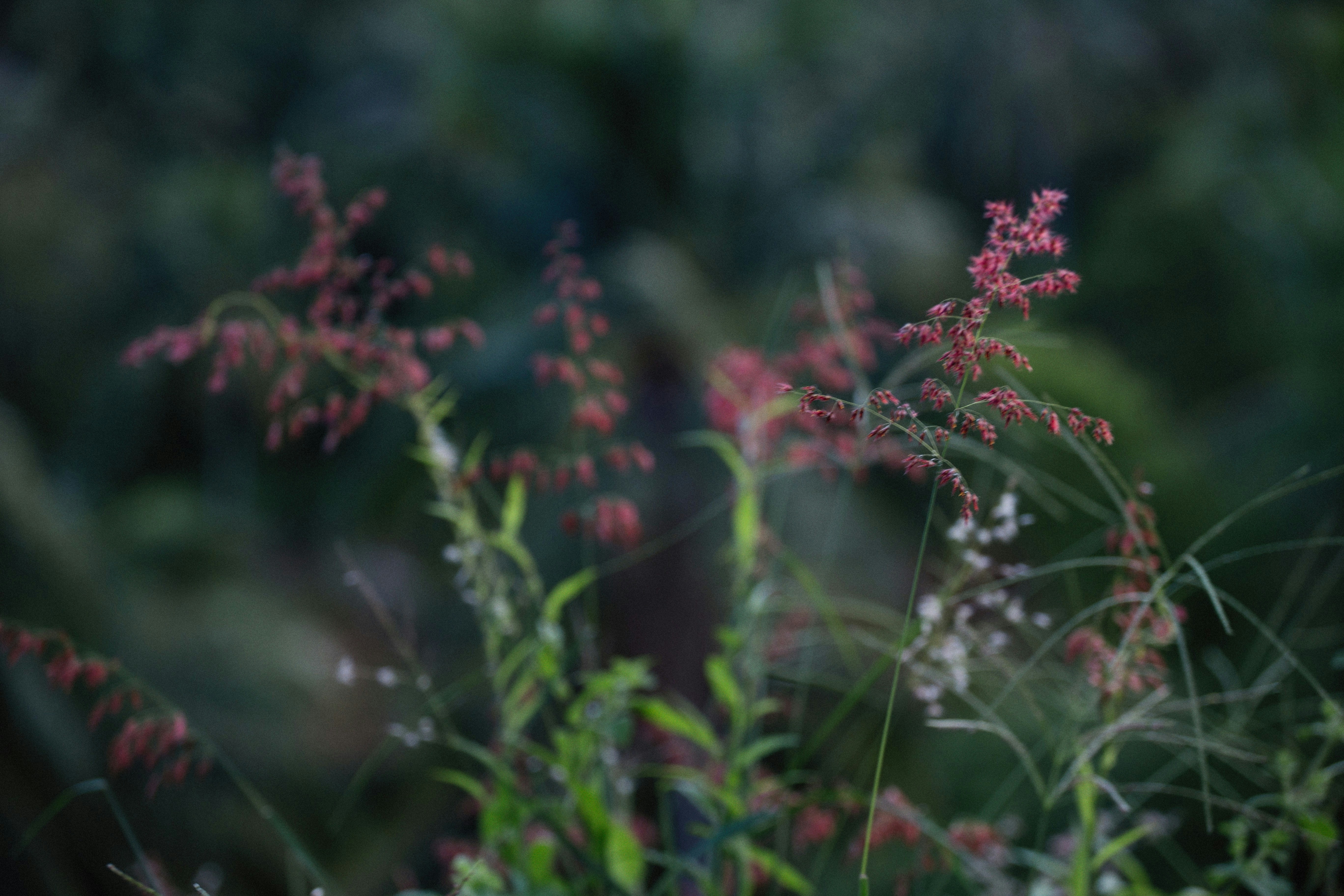 Photo by alexeydemidov