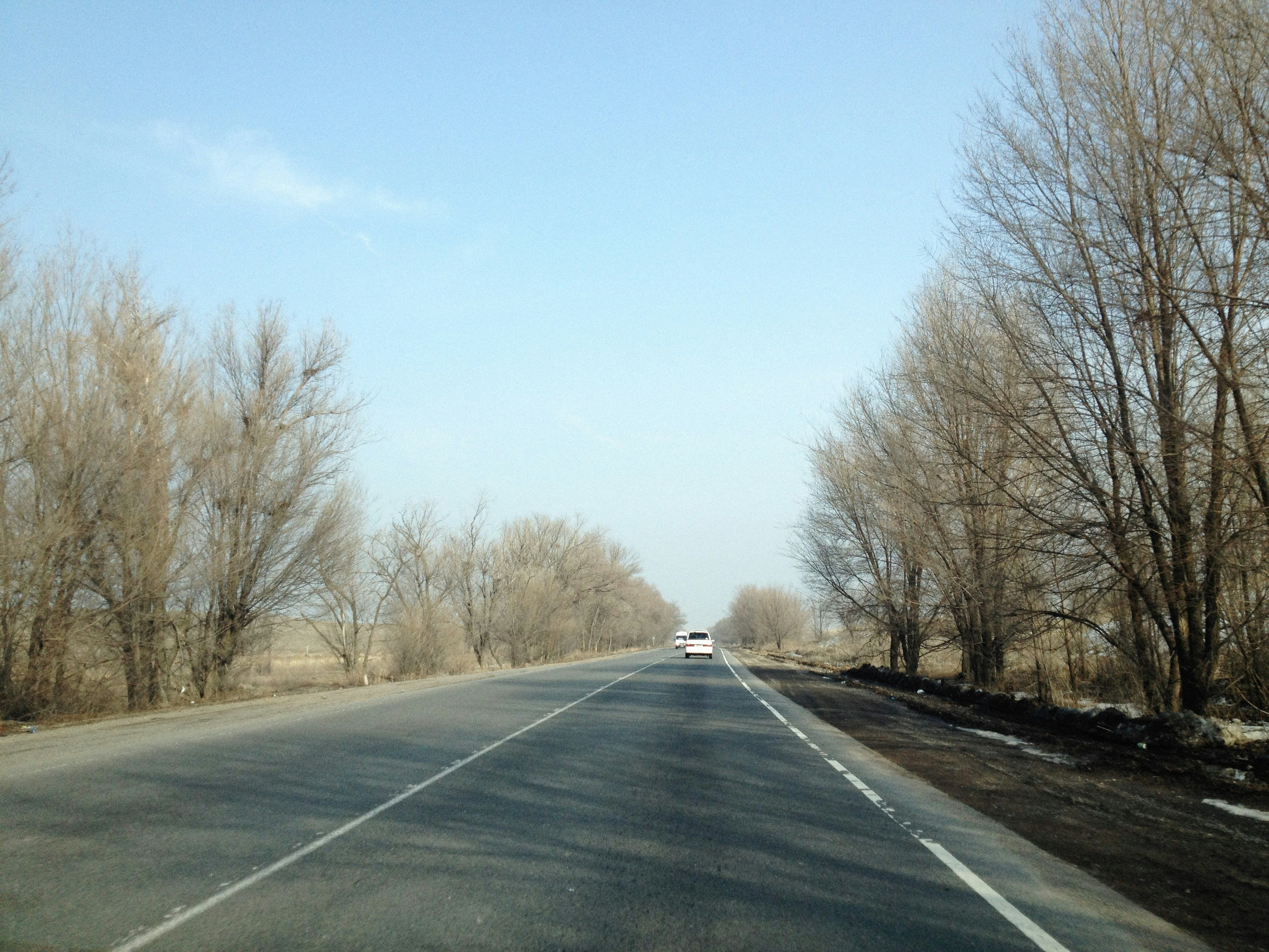 a car driving down a road next to trees