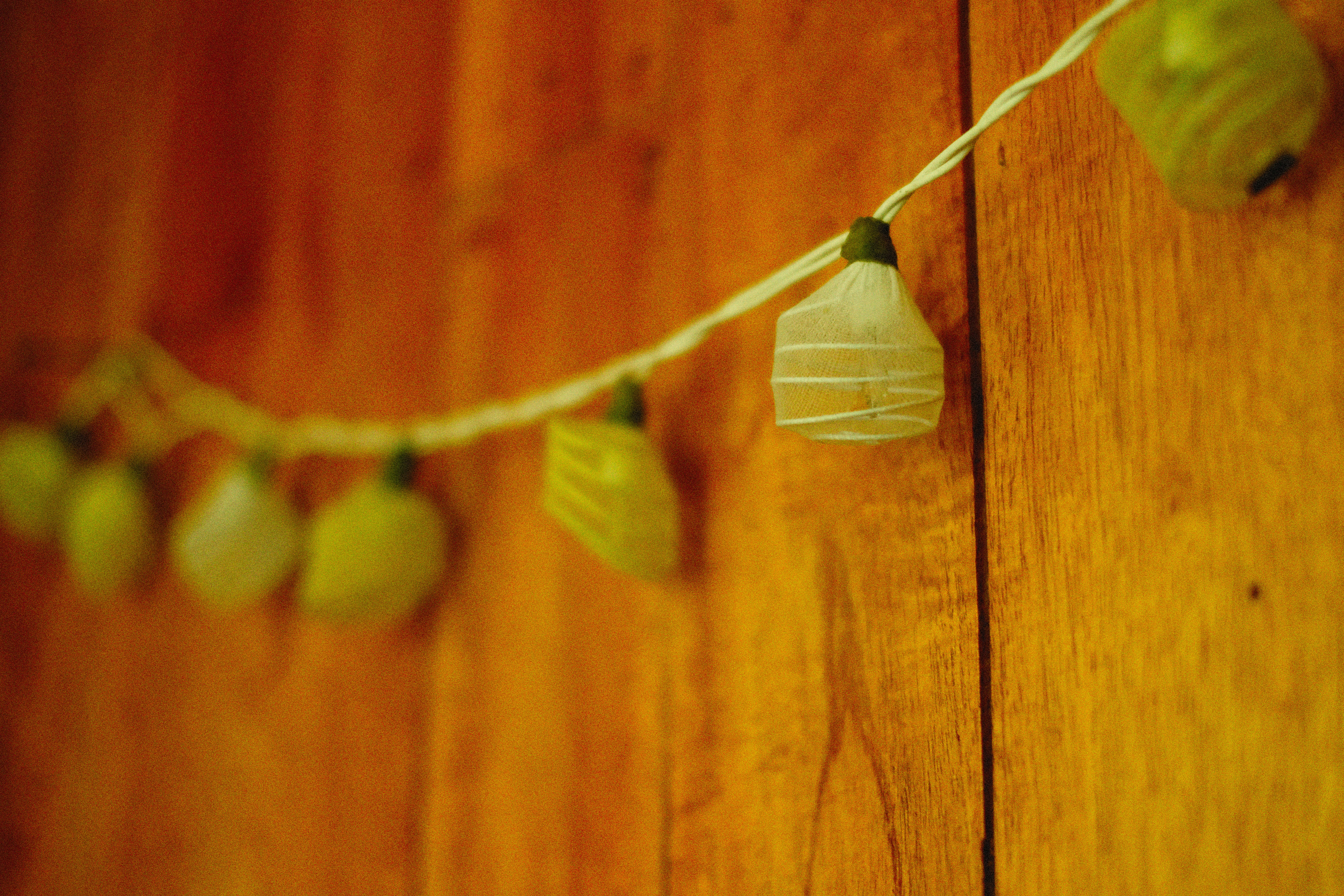 Photo by alexeydemidov