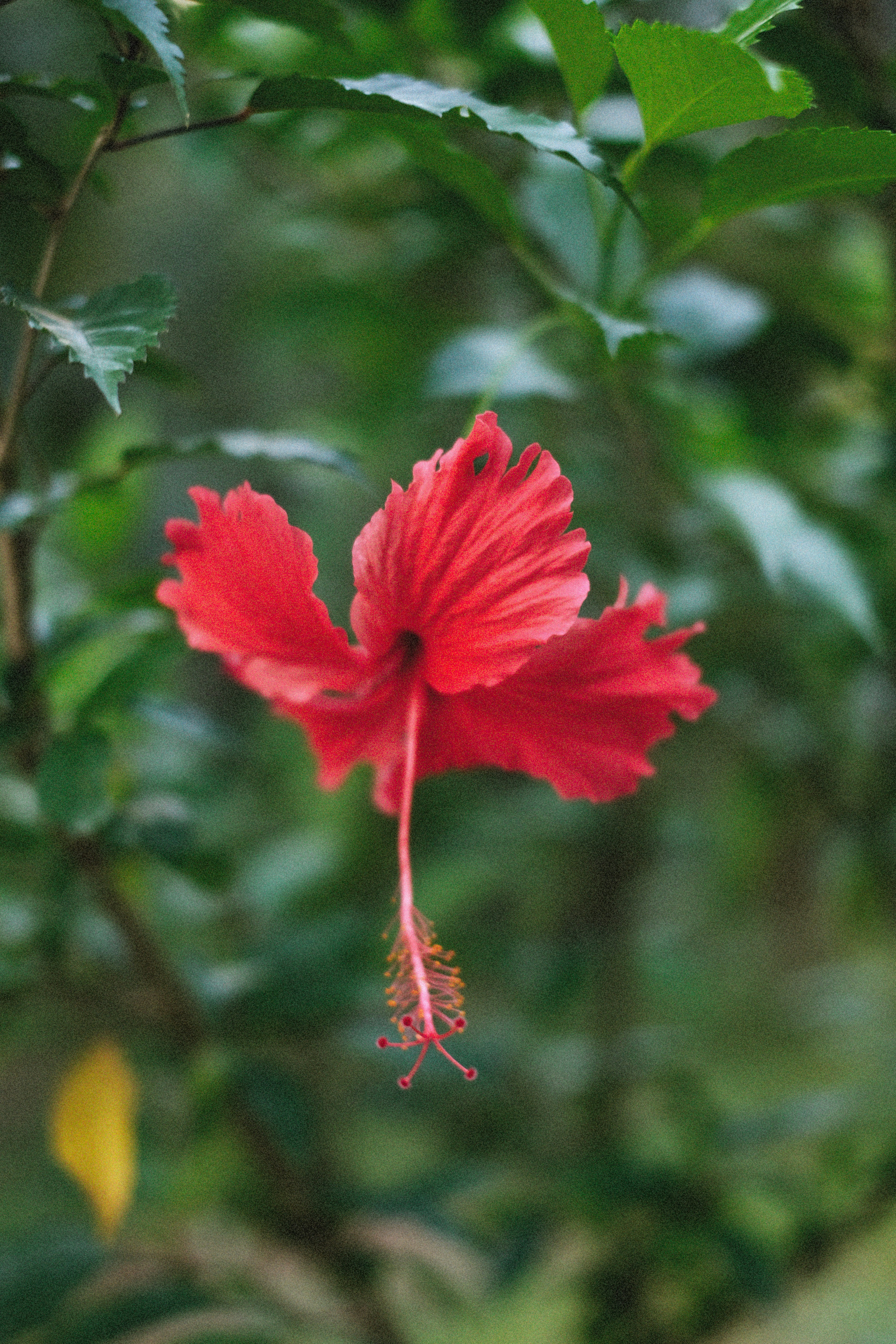 Photo by alexeydemidov